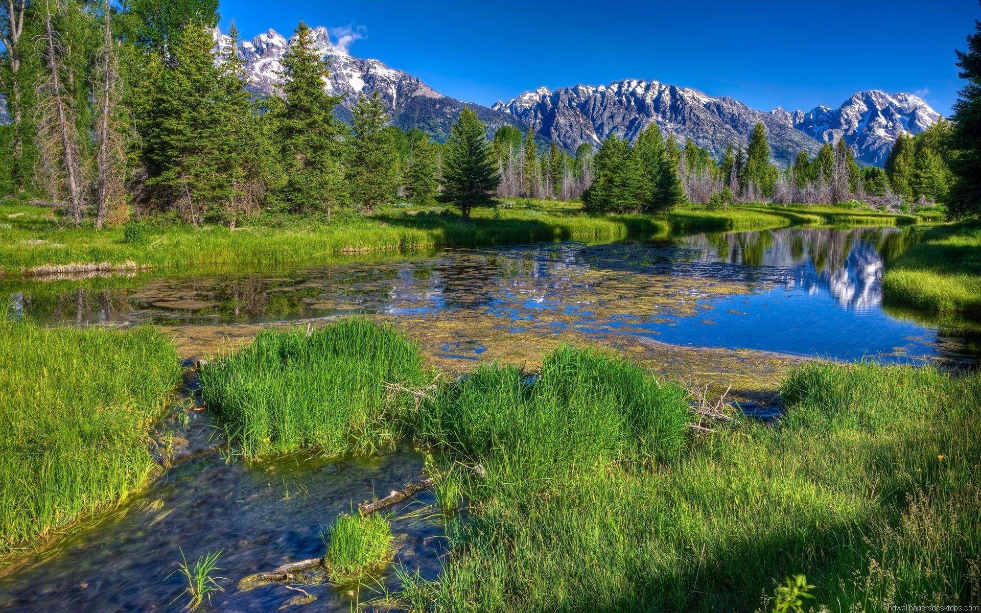 1920x1200 Free download HD Wallpaper Computer Desktop Wallpaper