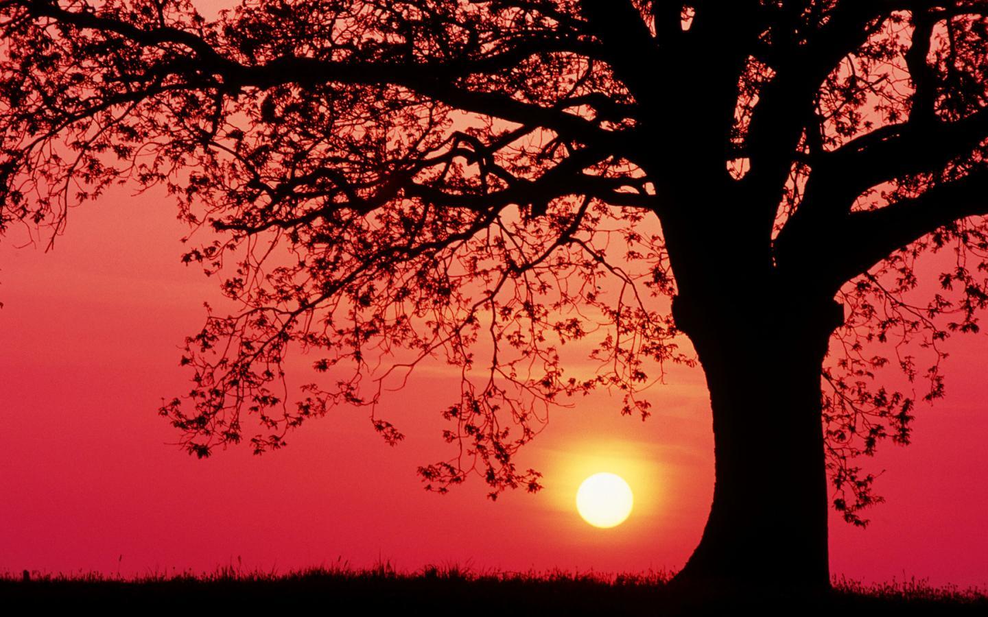 1440x900 Computer Desktop Wallpaper (9)