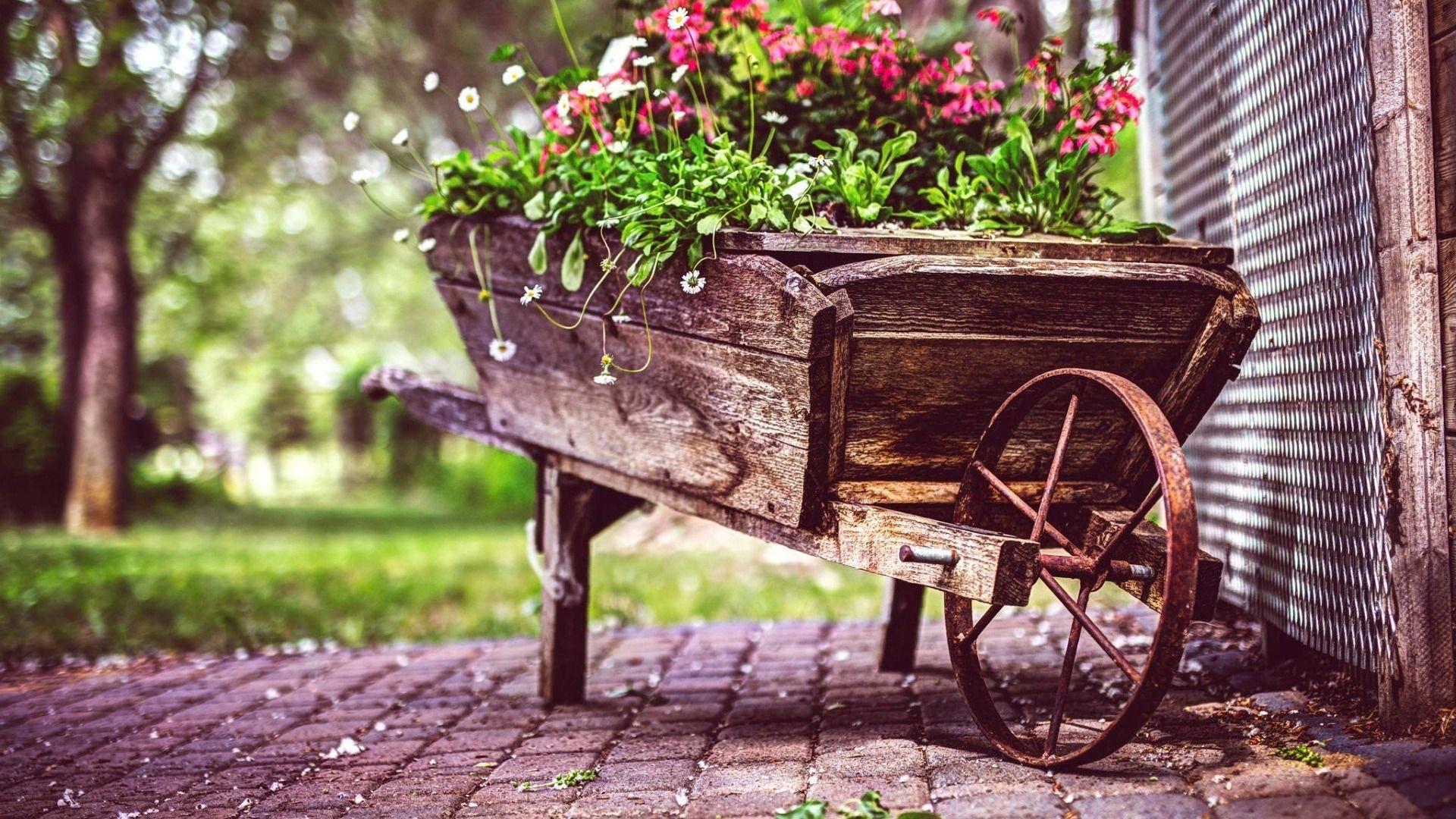 1920x1080 1920x1080 #flowers, #vintage, #photography JPG 1435