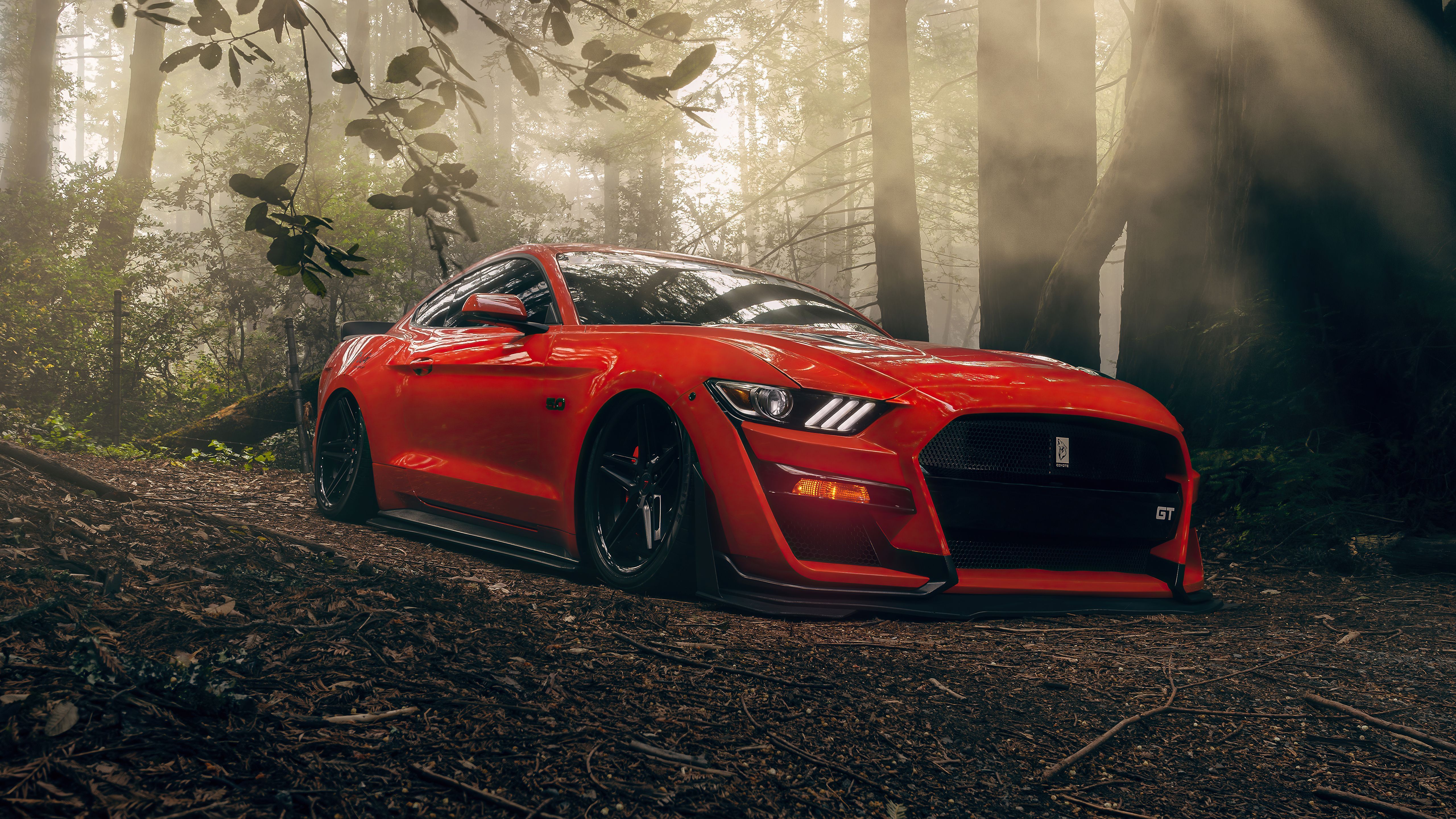5120x2880 Vehicles Ford Mustang GT 4k Ultra HD