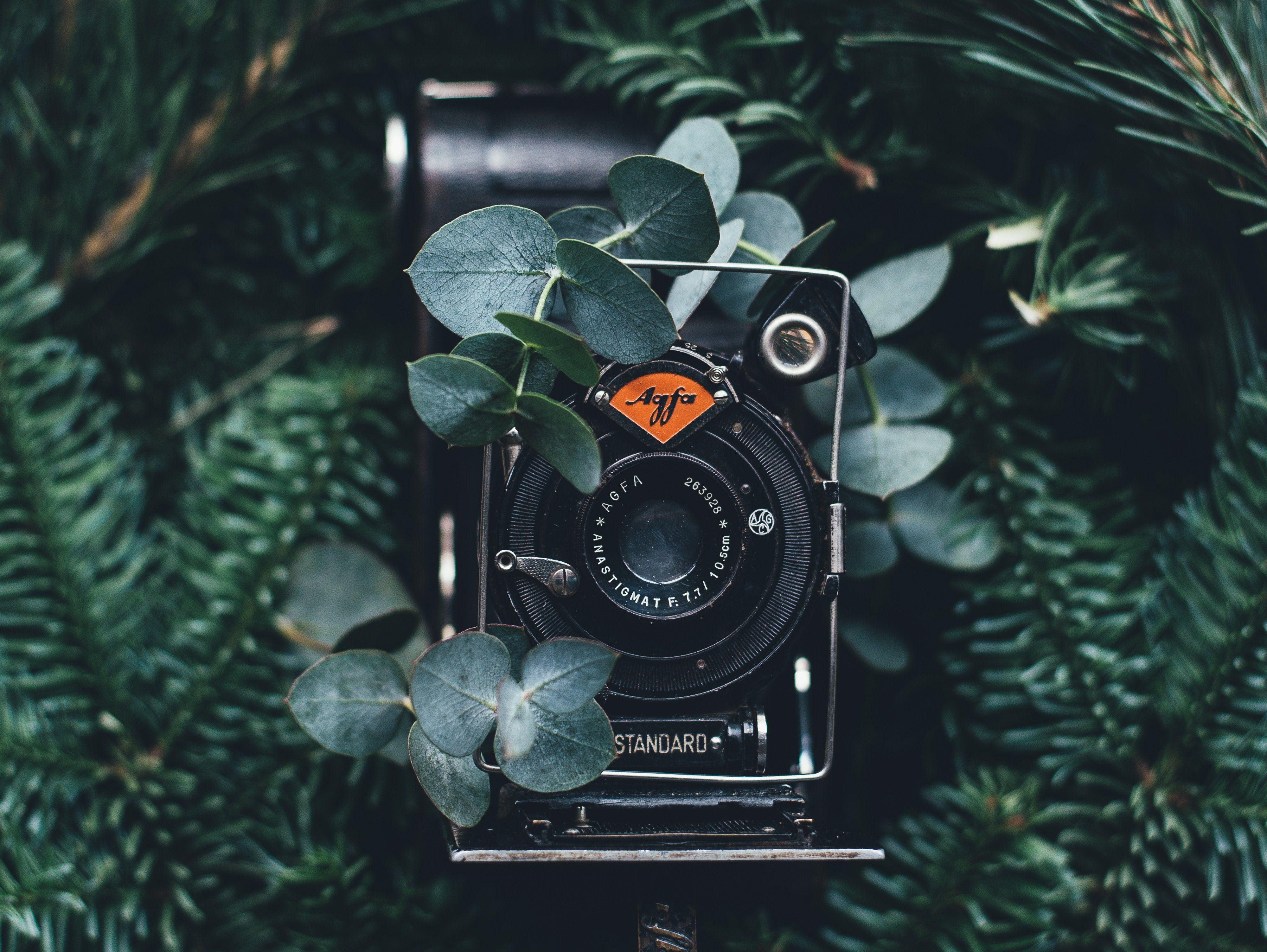 3999x3005 outstanding film photographers on Instagram to follow