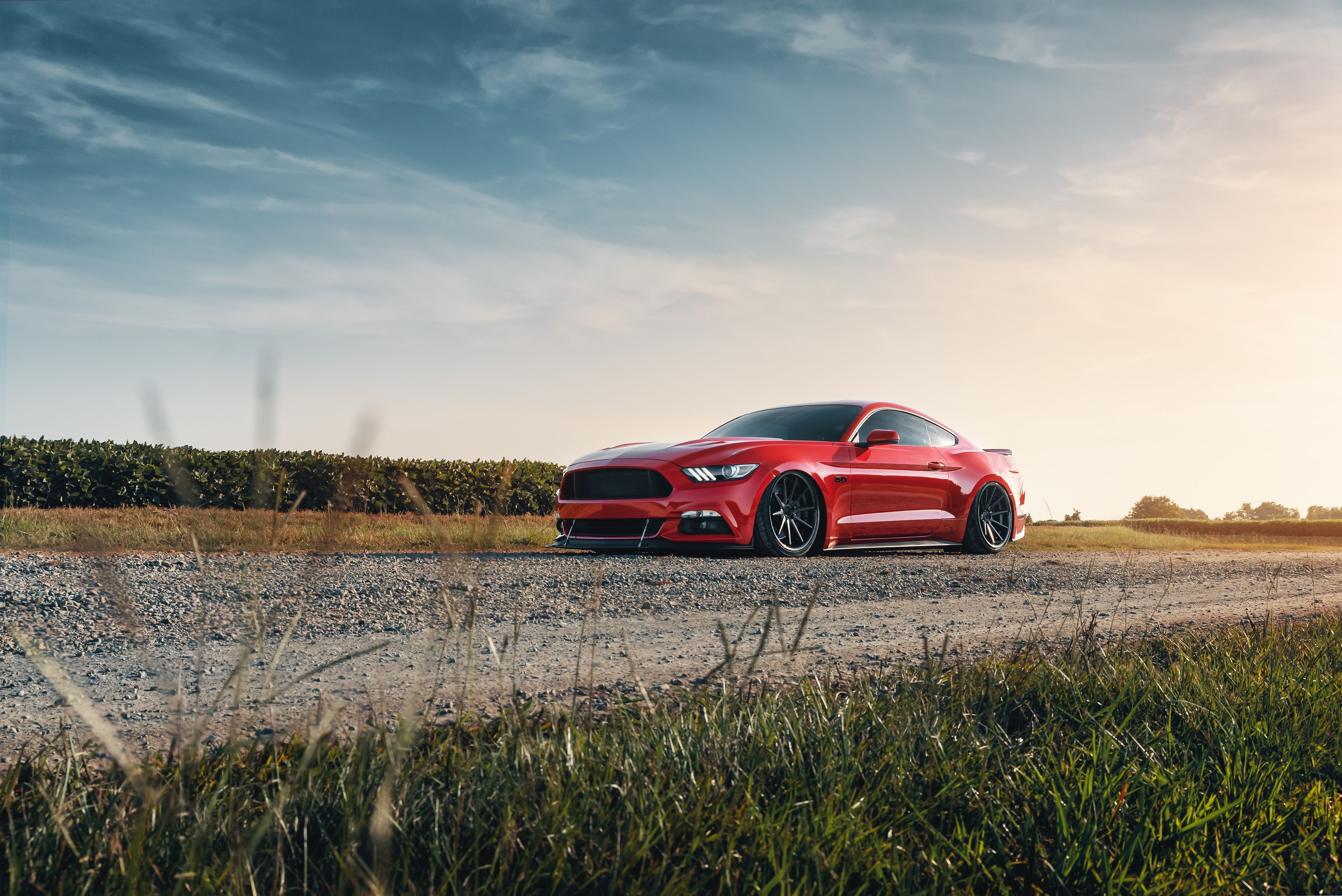 3840x2564 Vehicles Ford Mustang GT 4k Ultra HD