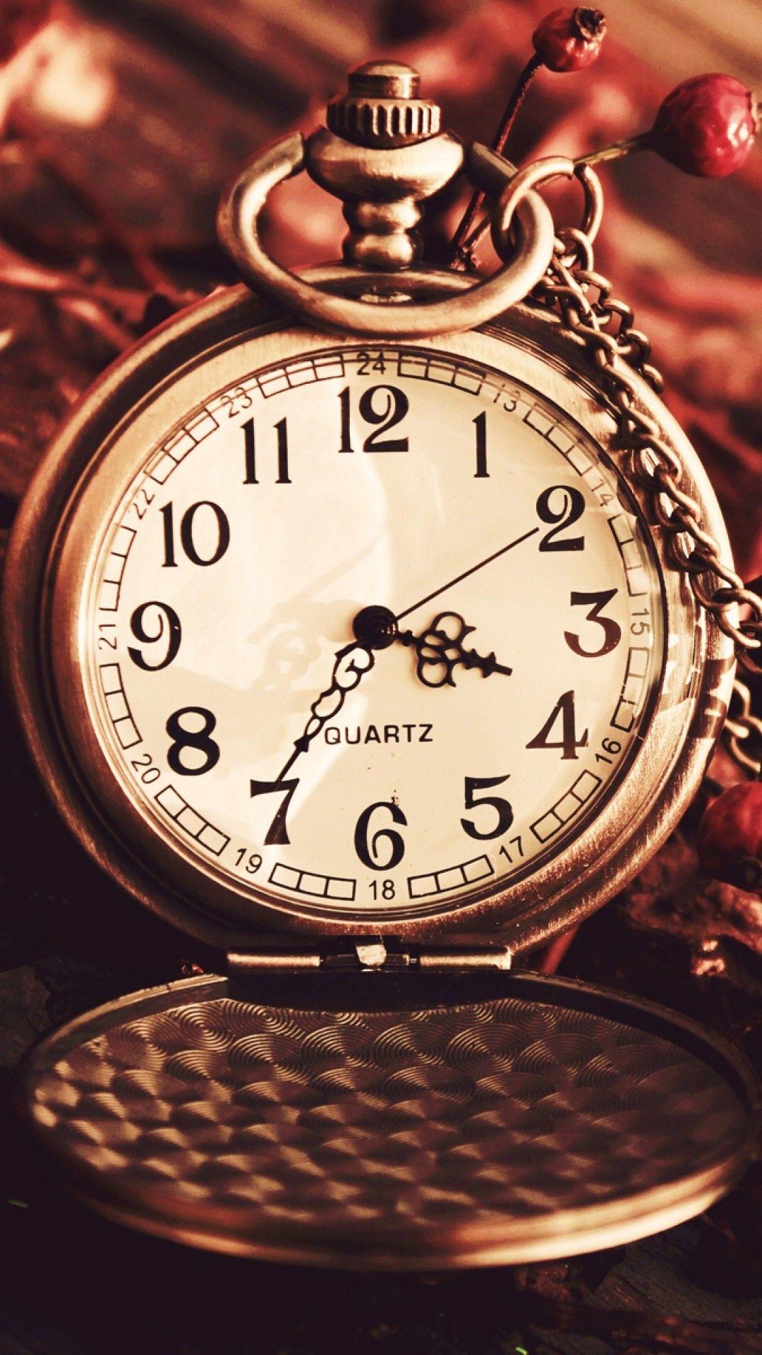 1080x1920 Vintage Watch Pocket Macro Autumn Berries Dry Chain Dial