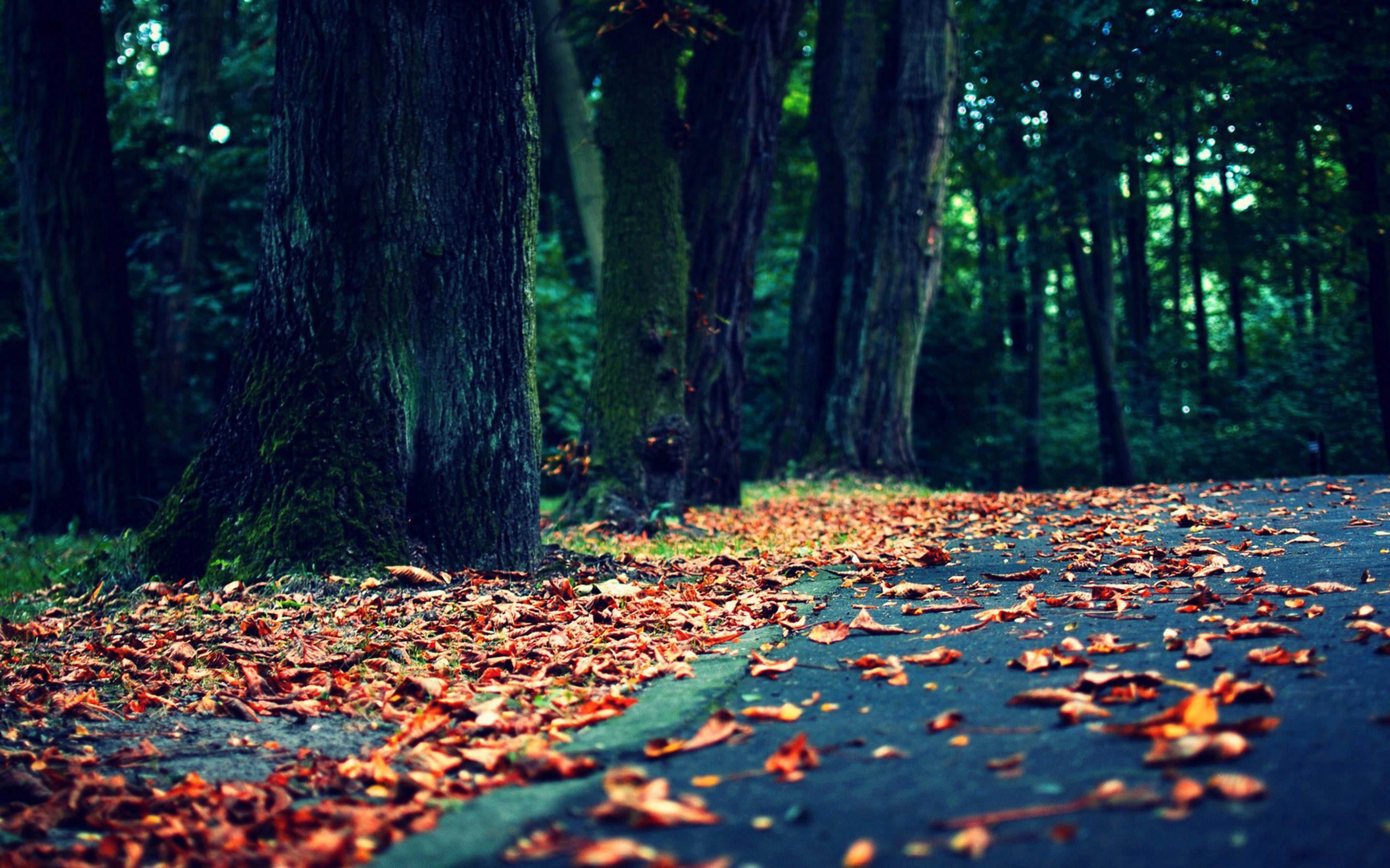 2880x1800 Desktop Wallpaper HD Nature
