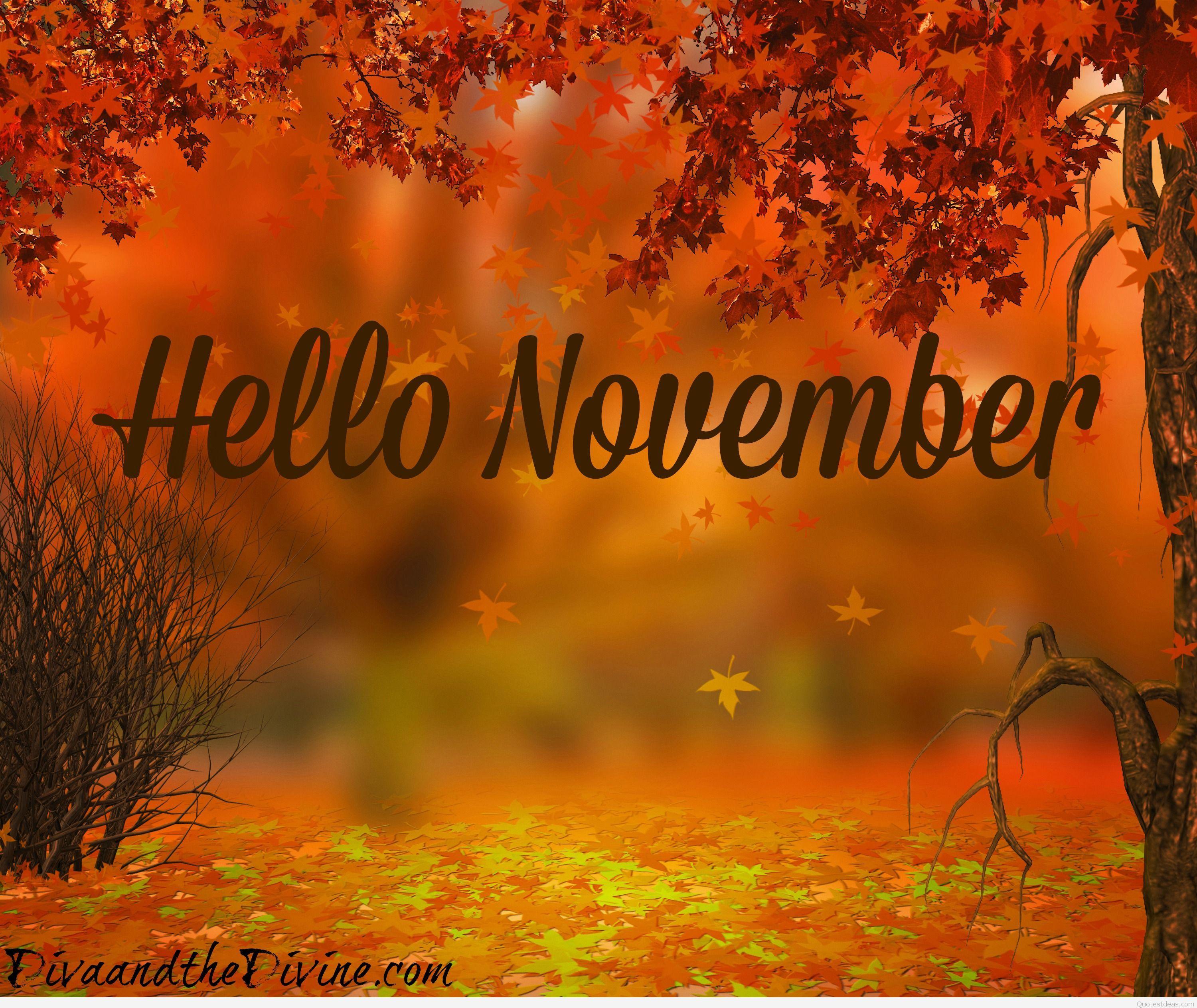 hello-november-pictures-photos-and-images-for-facebook-tumblr-pinterest-and-twitter