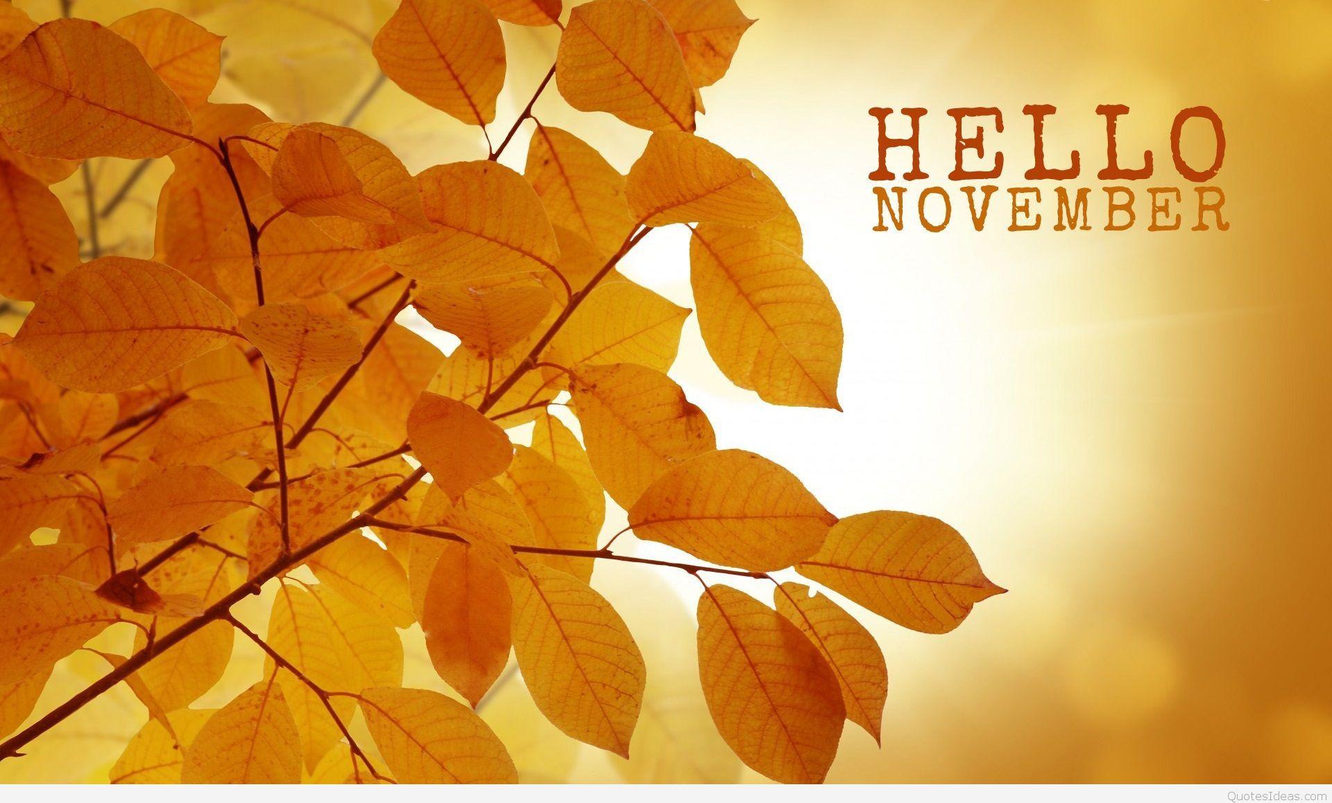 Hello November Wallpapers Top Free Hello November Backgrounds Wallpaperaccess