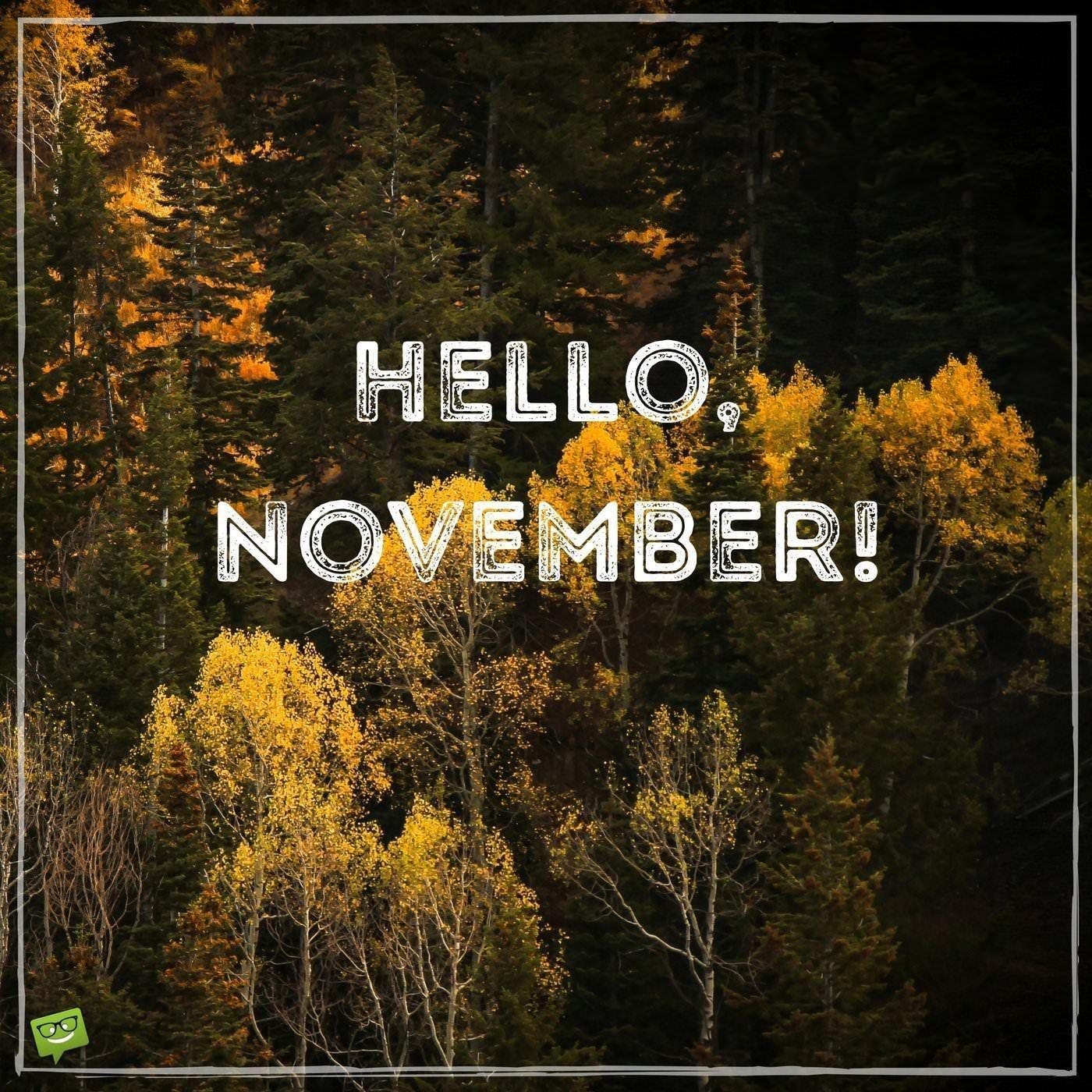 Hello November Wallpapers  Wallpaper Cave