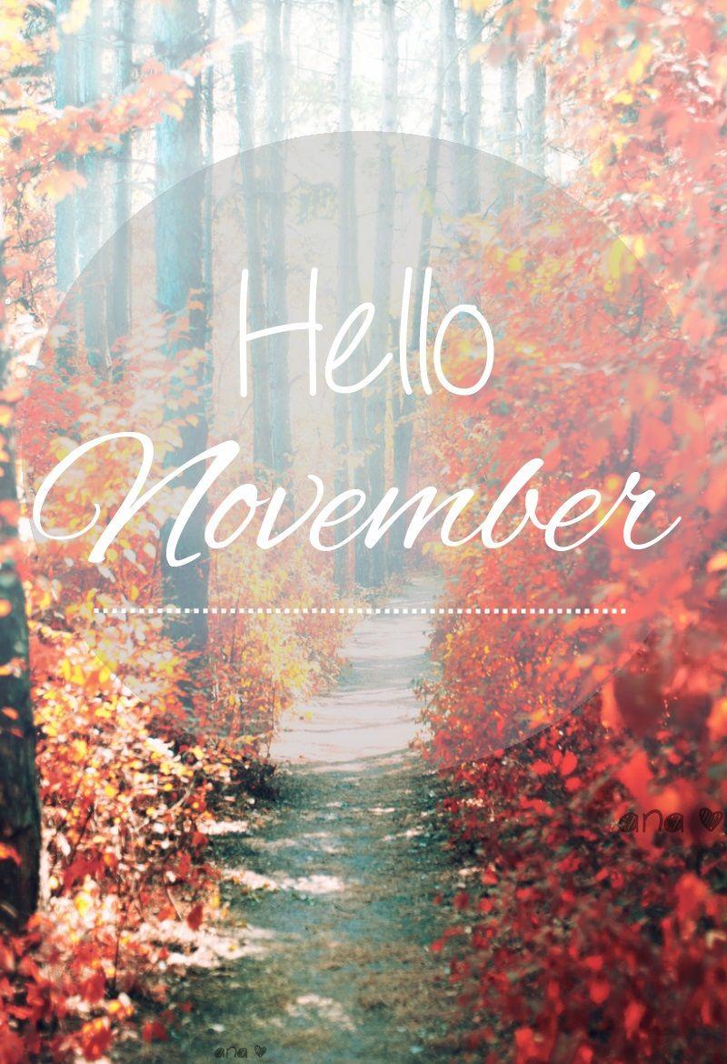 hello-november-wallpapers-top-free-hello-november-backgrounds-wallpaperaccess