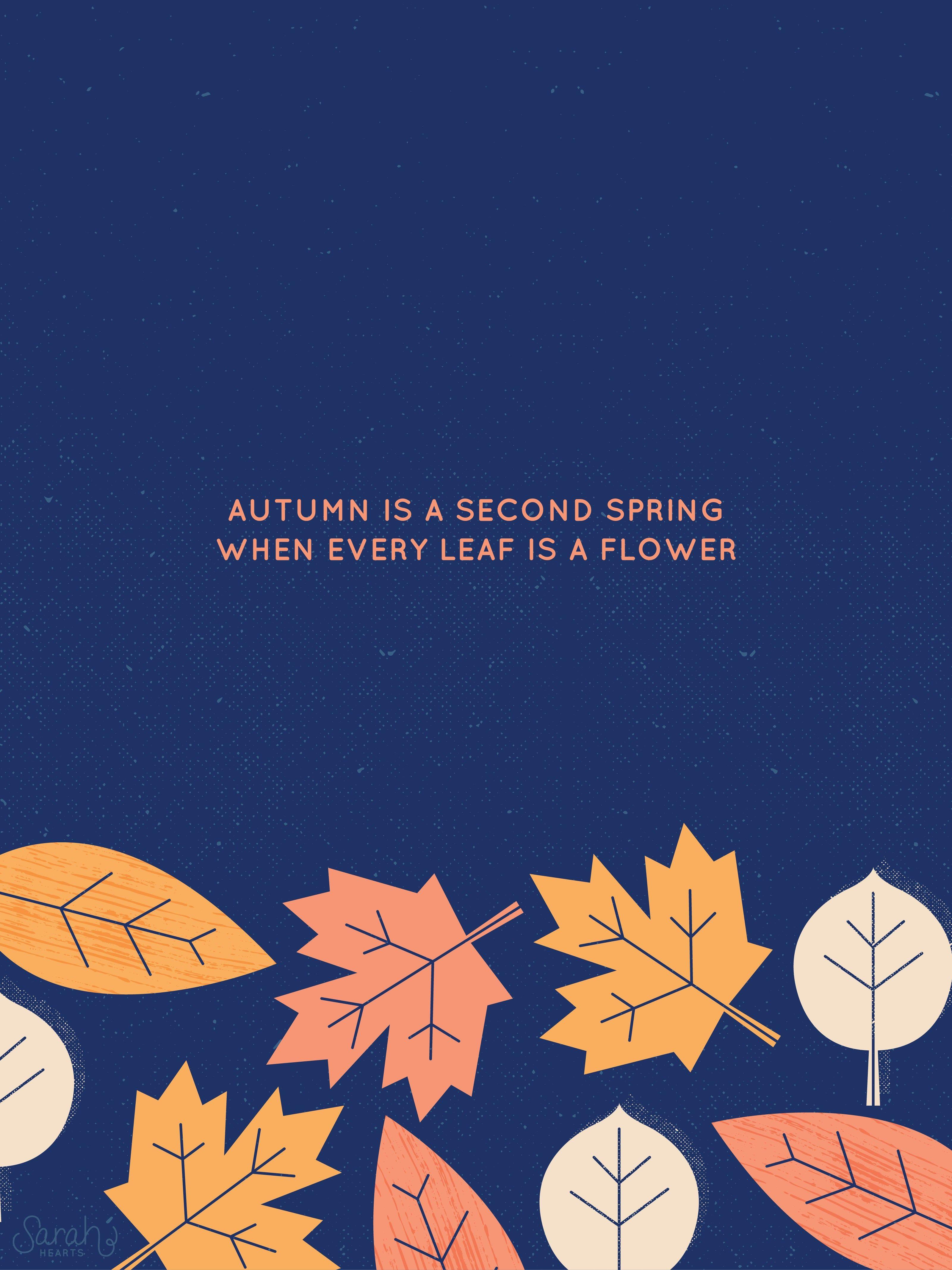 Cute November Wallpapers - Top Free Cute November Backgrounds