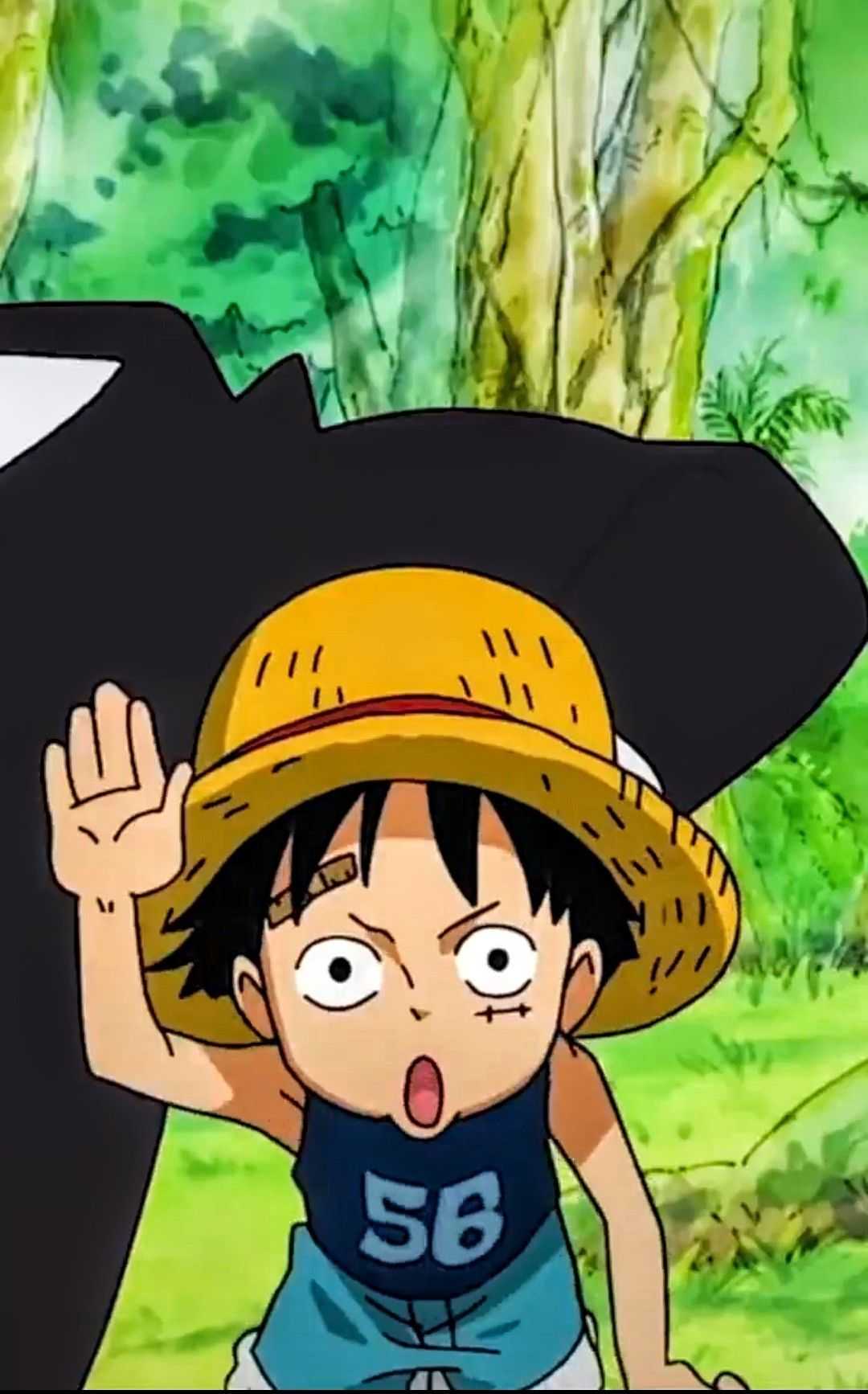 1080x1734 Luffy Child Wallpaper