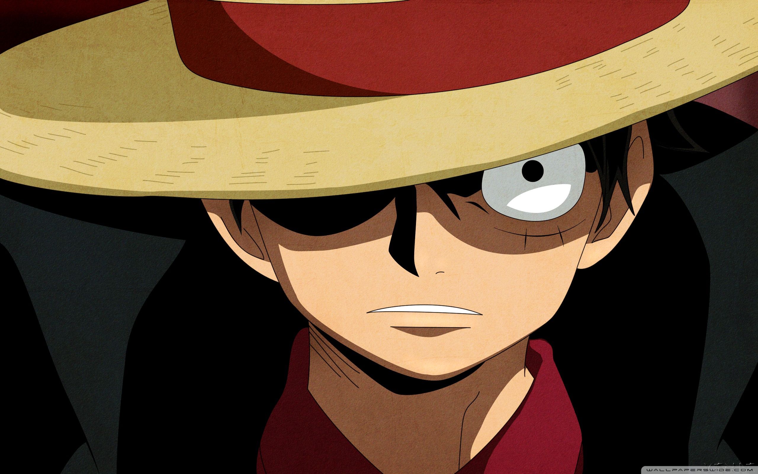2560x1600 Photo One Piece guys Anime 2560x1600