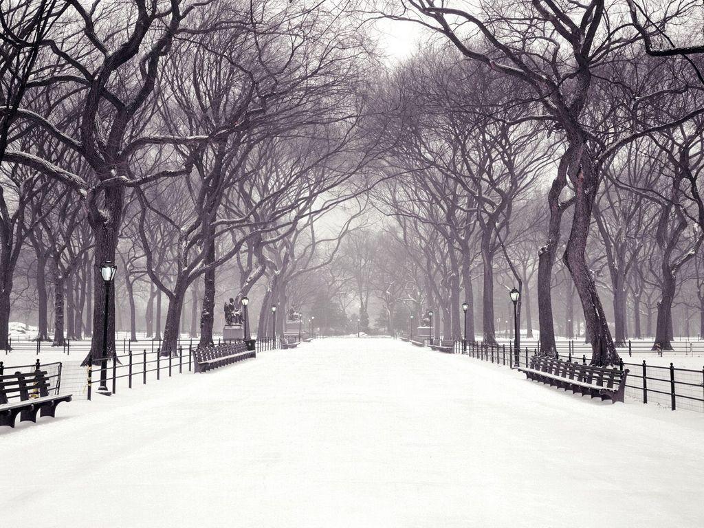 1024x768 hecallsmeStatuary Walk, Central Park, New York City, New