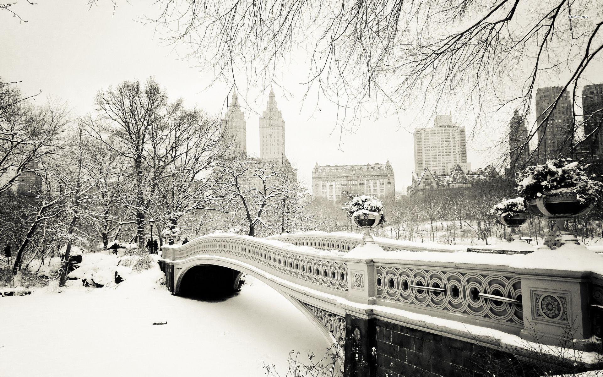 1920x1200 Winter in New York City wallpaper wallpaper