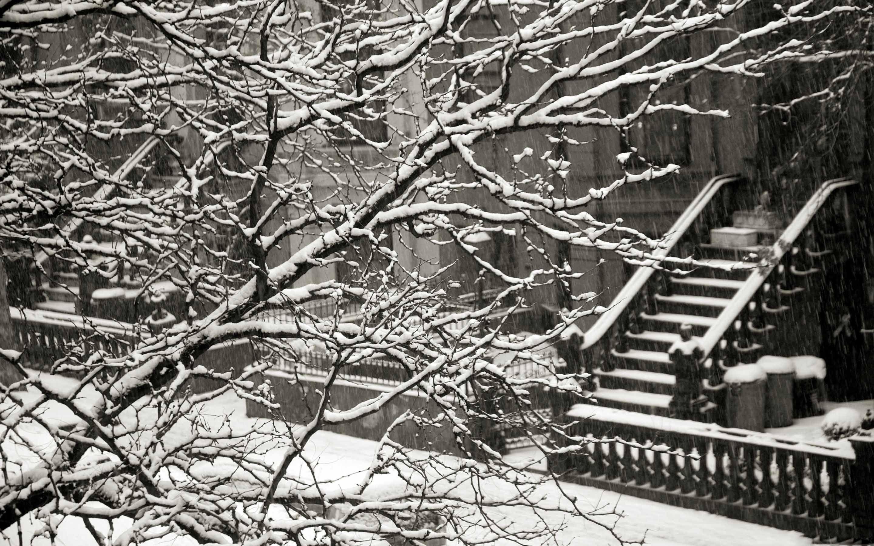 2880x1800 Winter In New York Mac Wallpaper Download