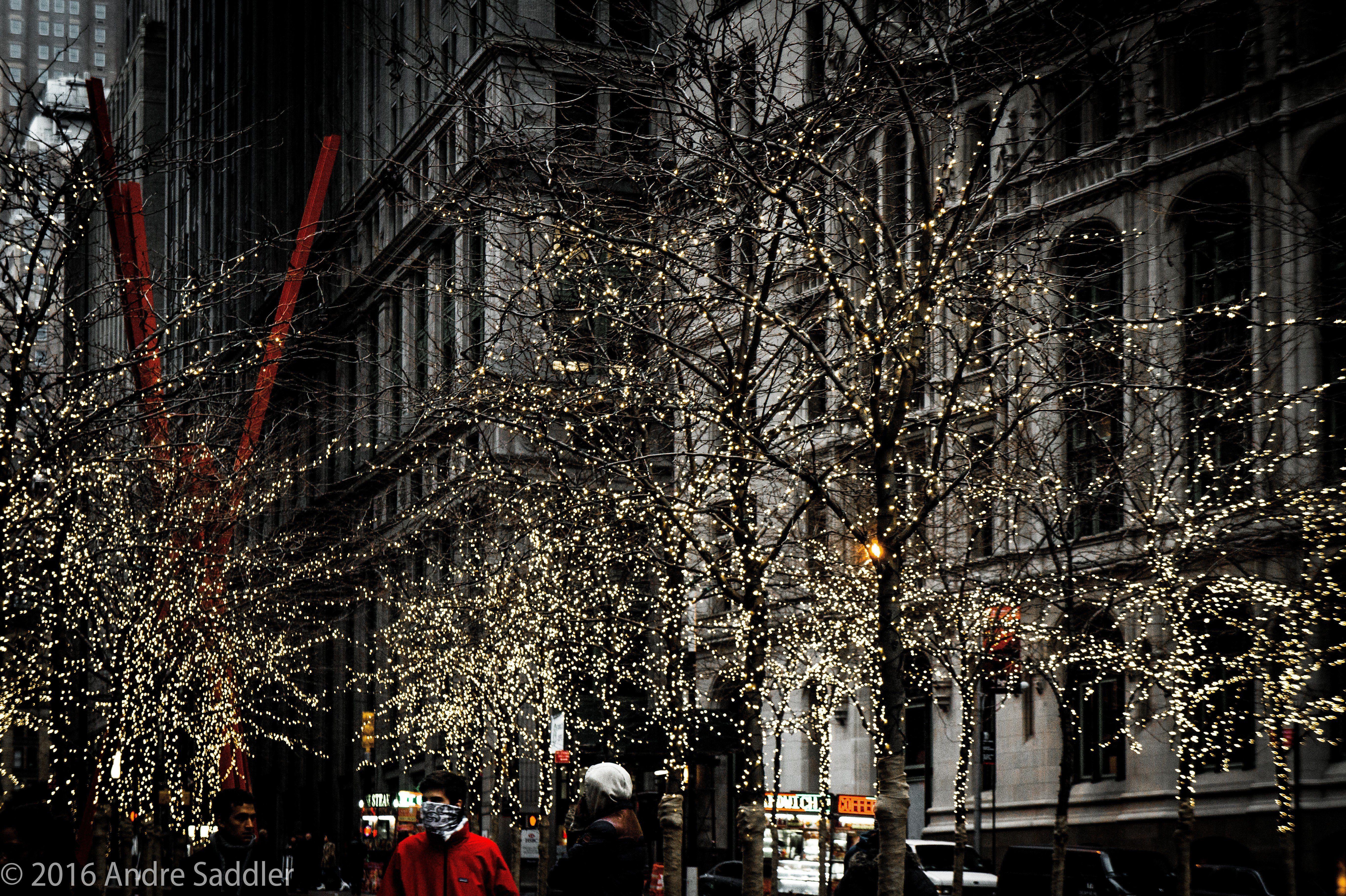 5456x3632 new york city zuccotti park trees wallpaper