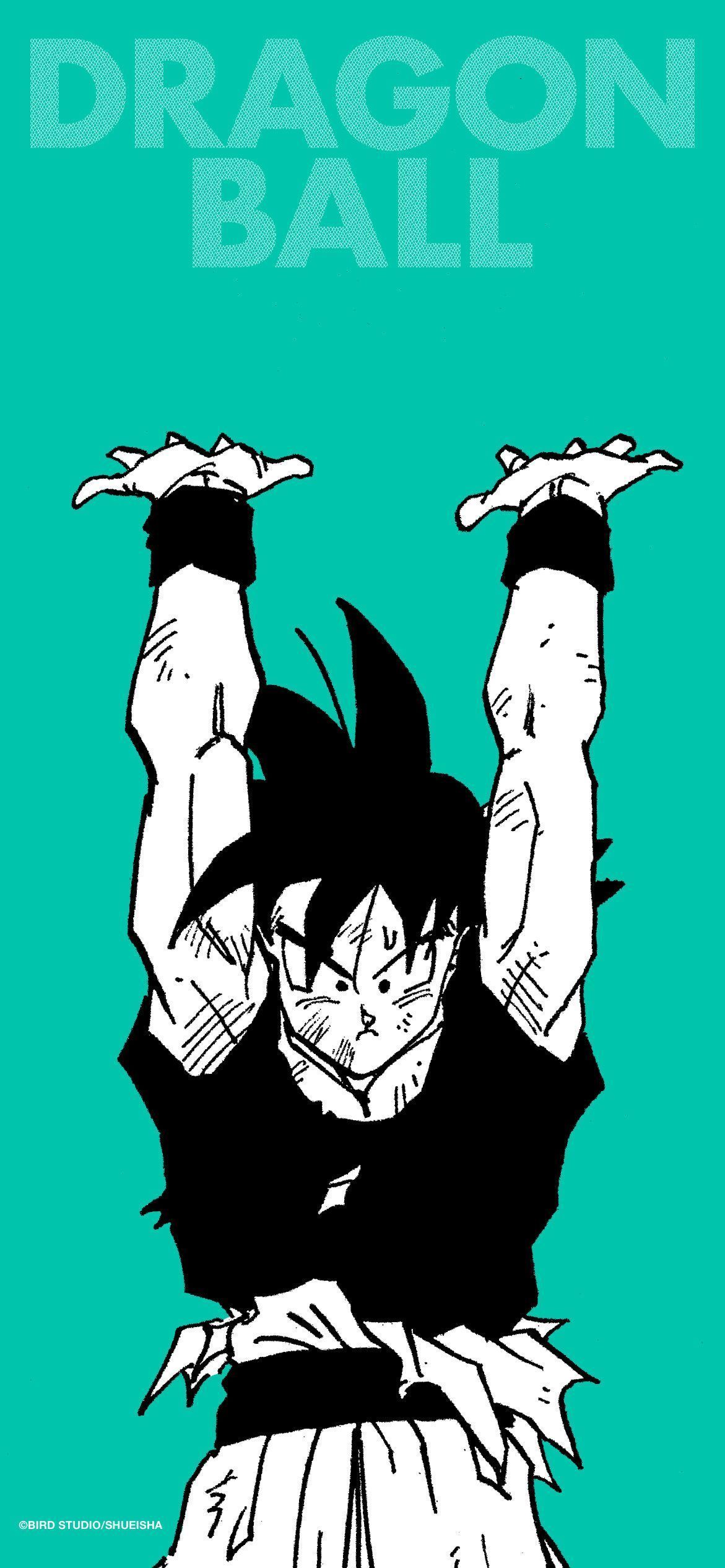 1171x2532 here are 7 special Goku wallpaper