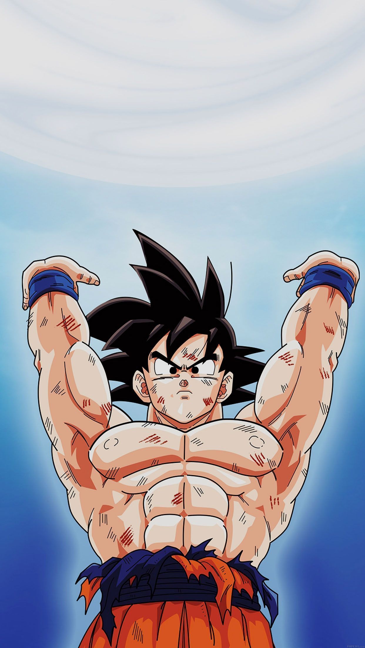 1242x2208 Wallpaper Goku Dragonball Energy