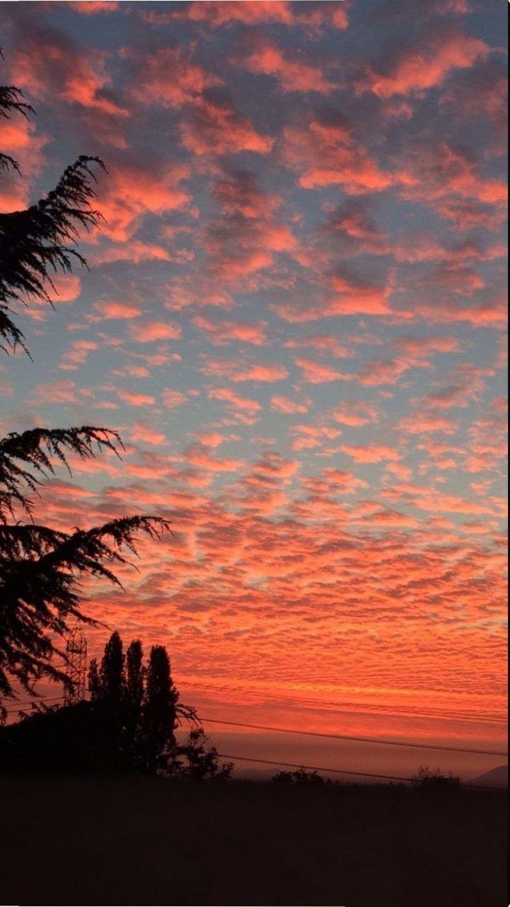 720x1281 Stylish wallpaper for your iPhone Xs Max # wallpaper