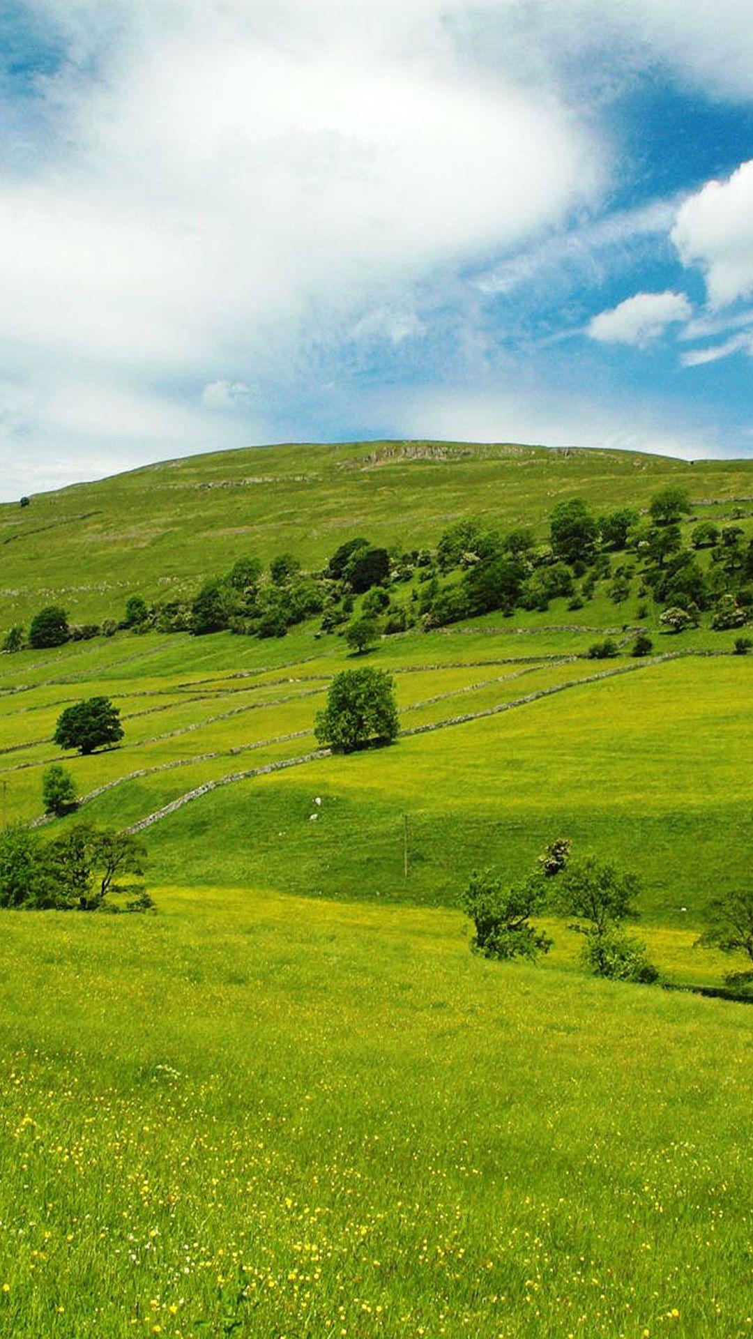 1080x1920 Sky Mountin High Green Grass Smartphone Wallpaper HD