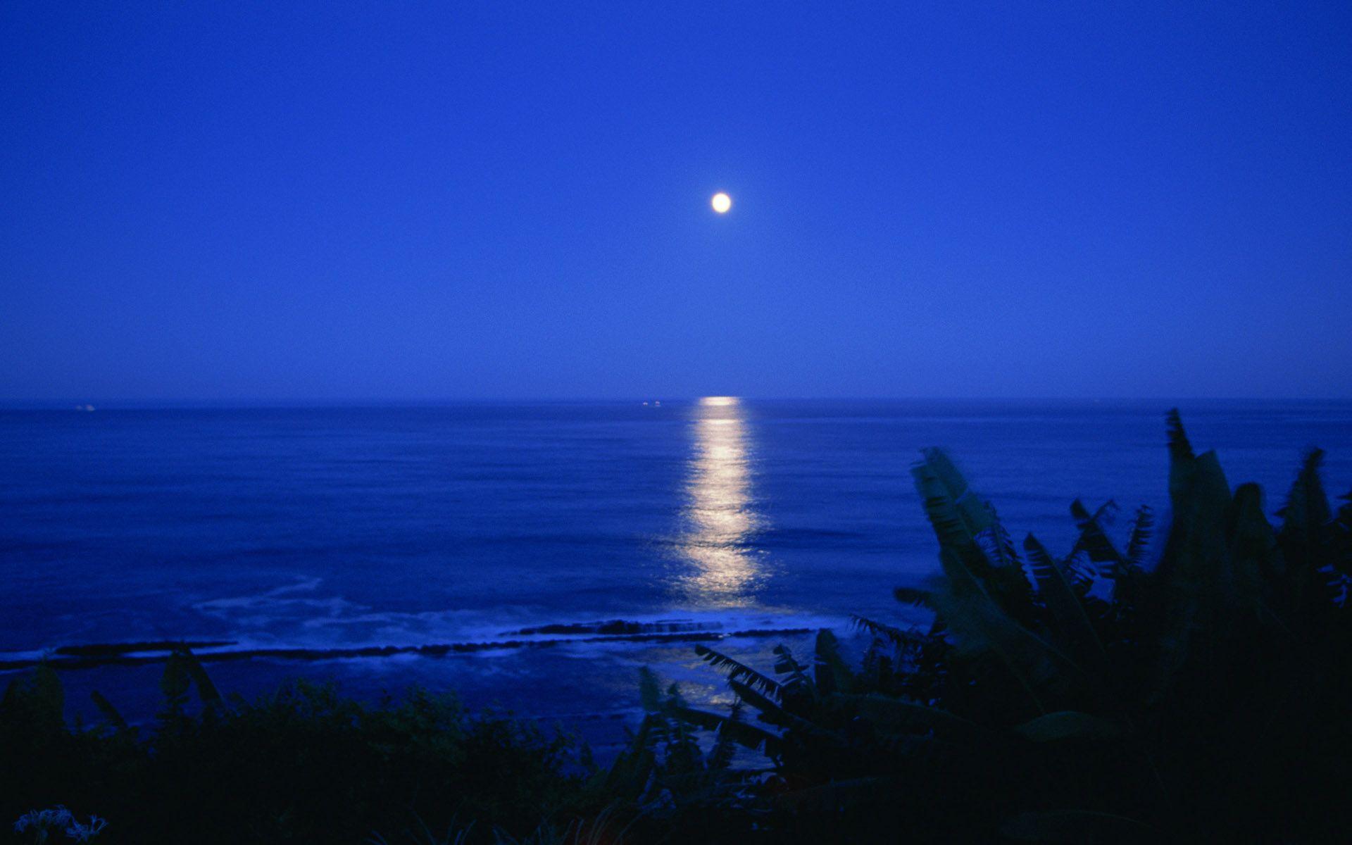 1920x1200 Night sea moon ocean reflection wallpaperx1200