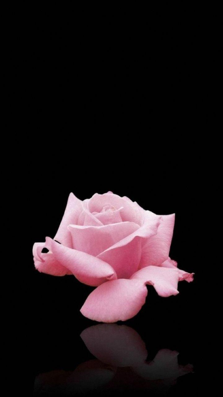 720x1280 LG Phone Wallpaper (22 Wallpaper)