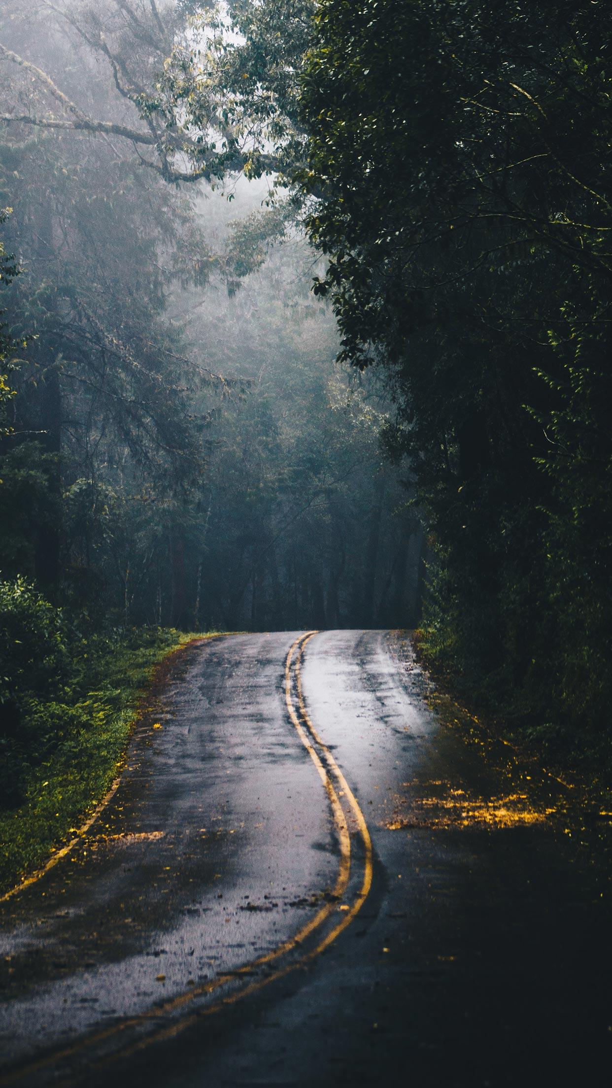 1242x2208 Fall iPhone XS Wallpaper Autumn Background