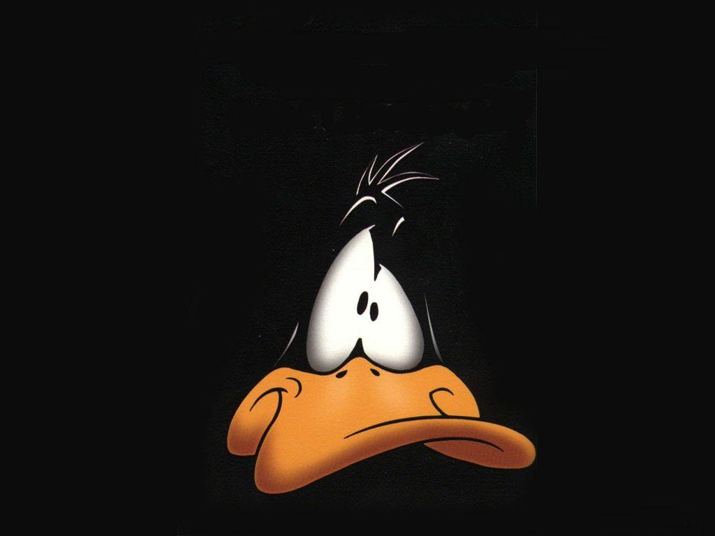 1024x768 Duck Wallpaper
