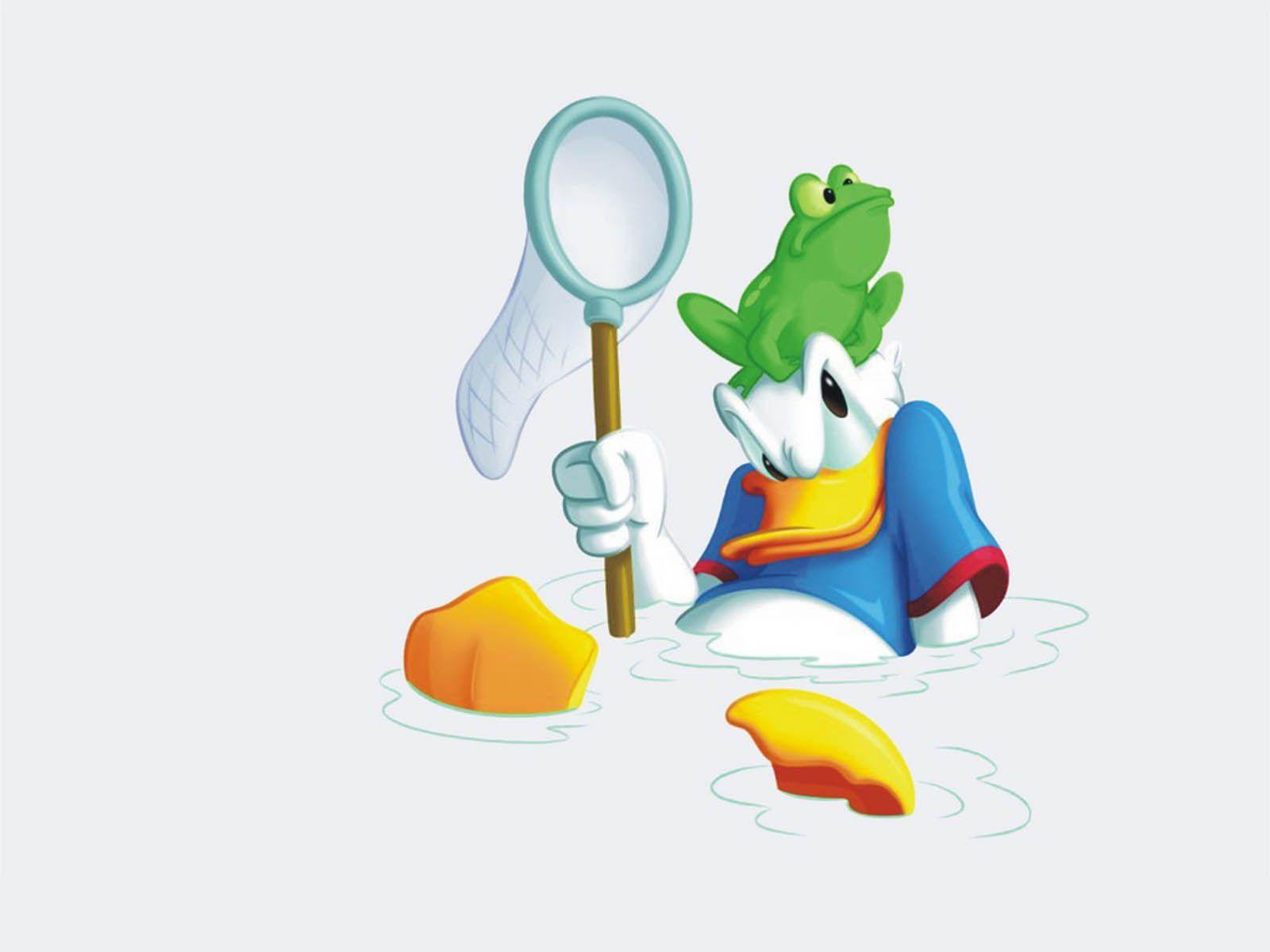 1600x1200 Donald Duck Wallpaper Computer Wallpaper