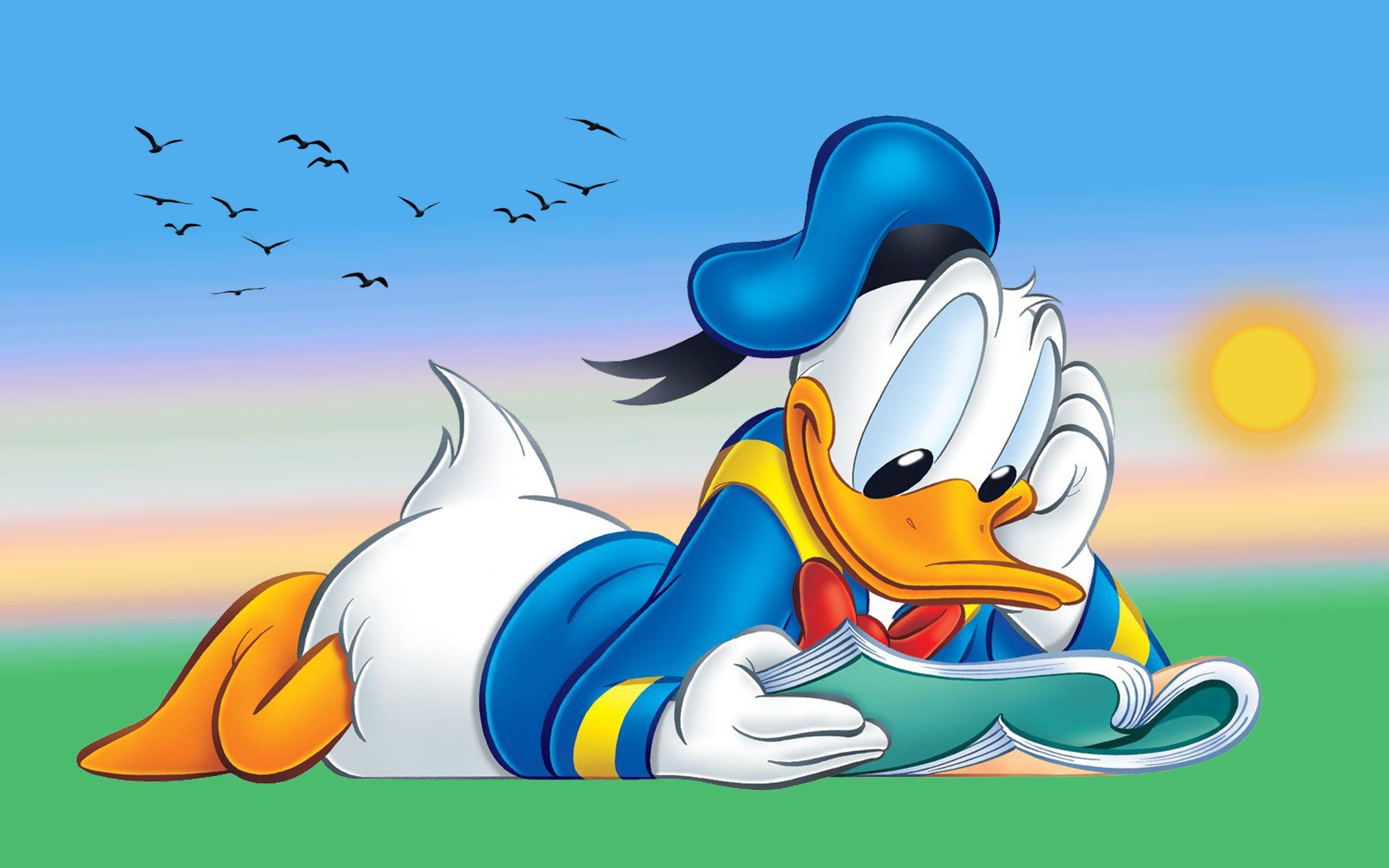 2560x1600 Donald Duck Cartoon Reading Book Desktop HD Wallpaper