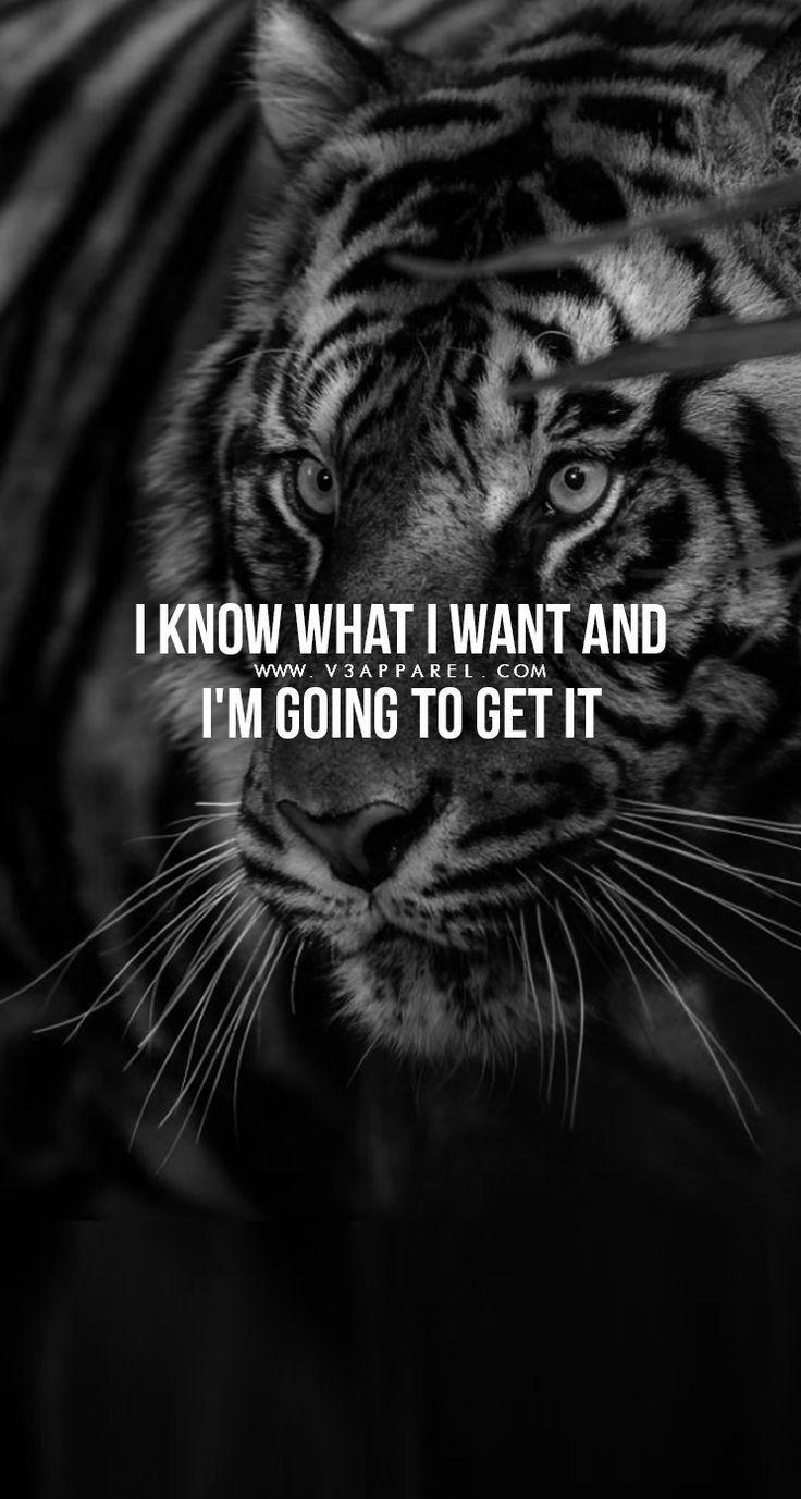 736x1377 Success quotes: Download this FREE wallpaper