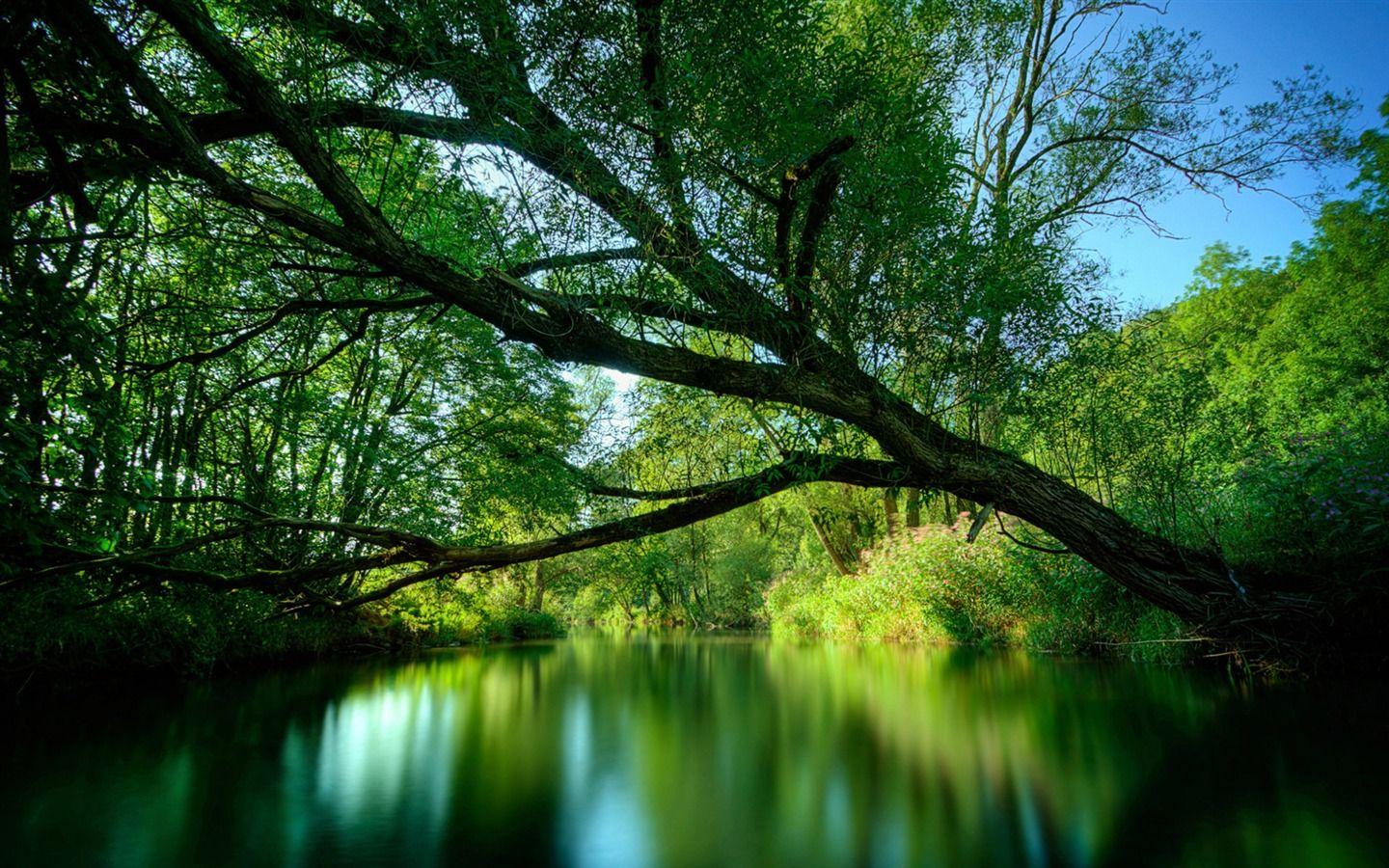 1440x900 New Zealand Nature Wallpaper (2) Wallpaper Download