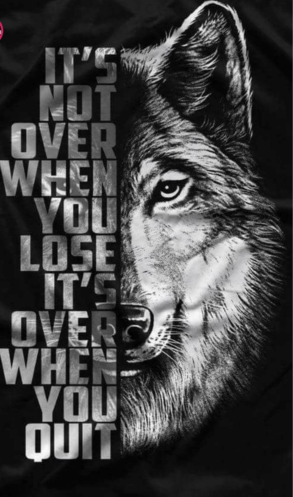 1189x2015 Lone Wolf Quote Wallpaper