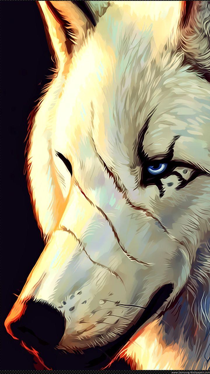 720x1280 Wolf Mobile Wallpaper, Picture