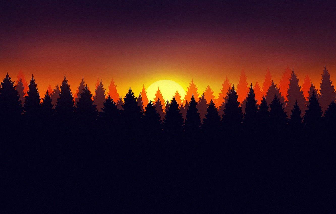 Minimalist Forest Hd Wallpapers Top Free Minimalist Forest Hd