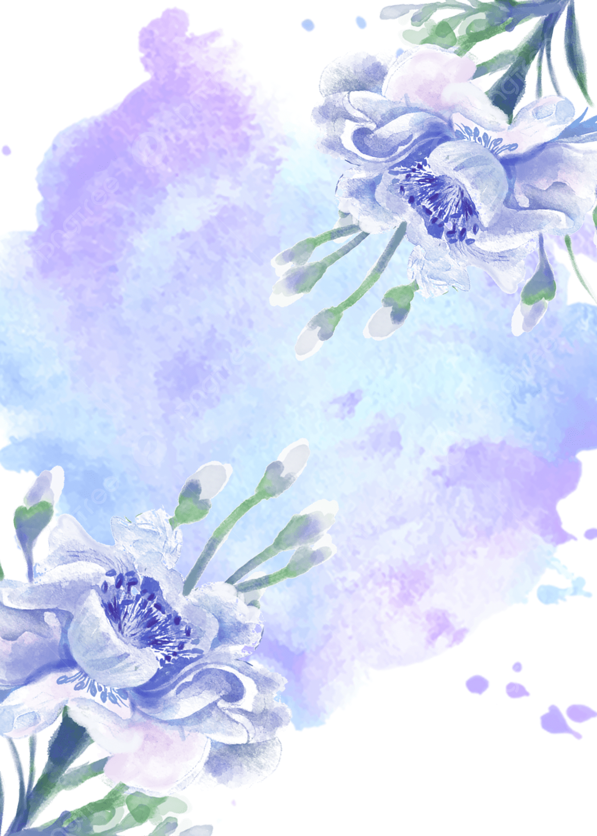 Floral Watercolor Wallpapers Top Free Floral Watercolor Backgrounds