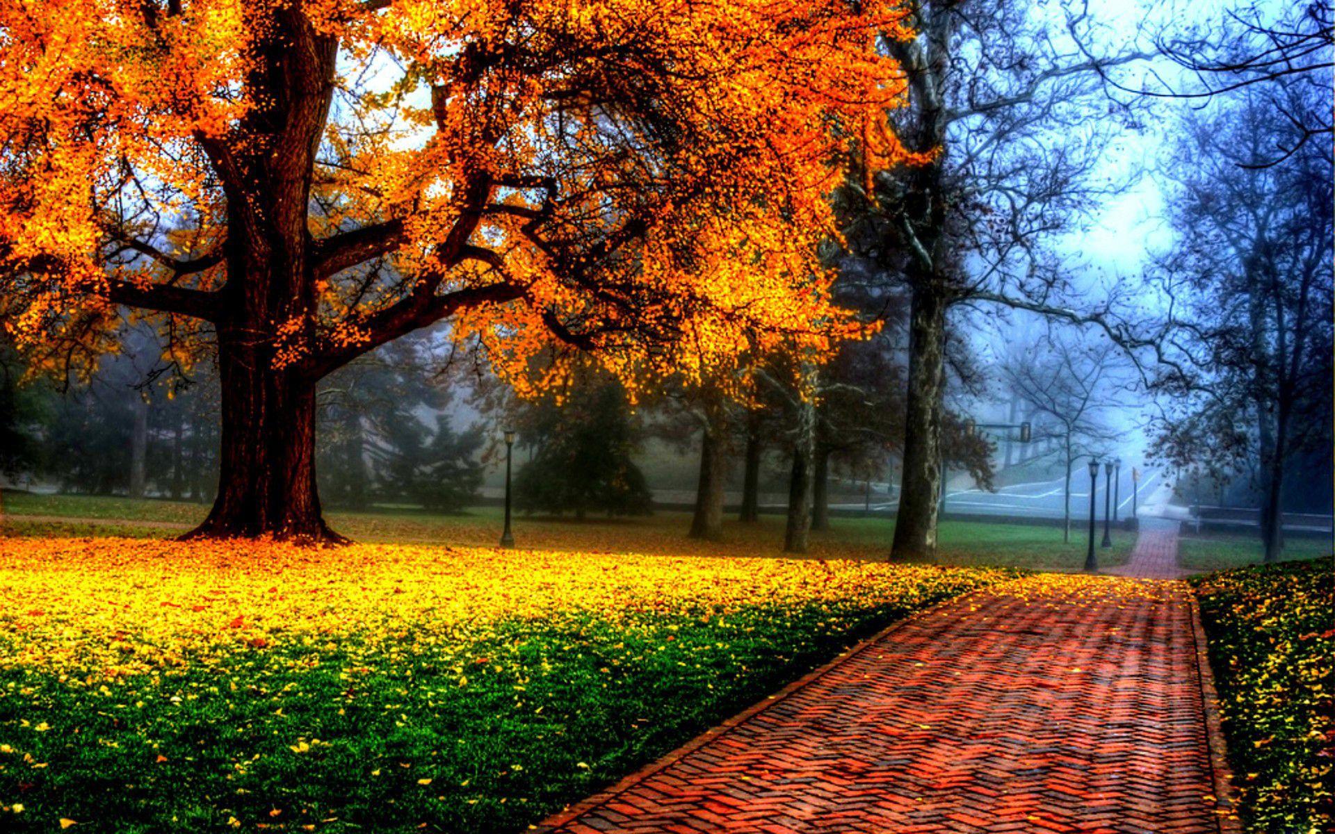 1920x1200 Beautiful Wallpaper Image