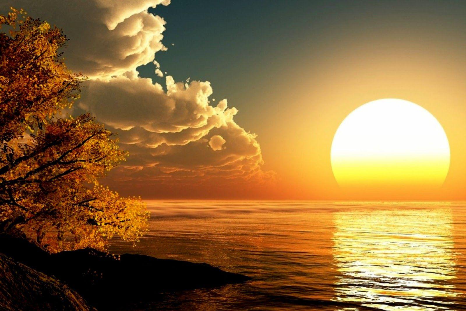 1600x1067 Very Beautiful HD Wallpaper. HD Wallpaper. HD Screensaver