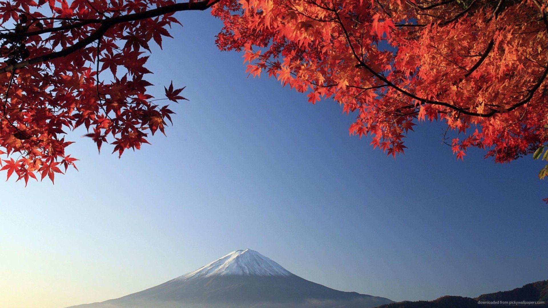 1920x1080 Japanese Wallpaper