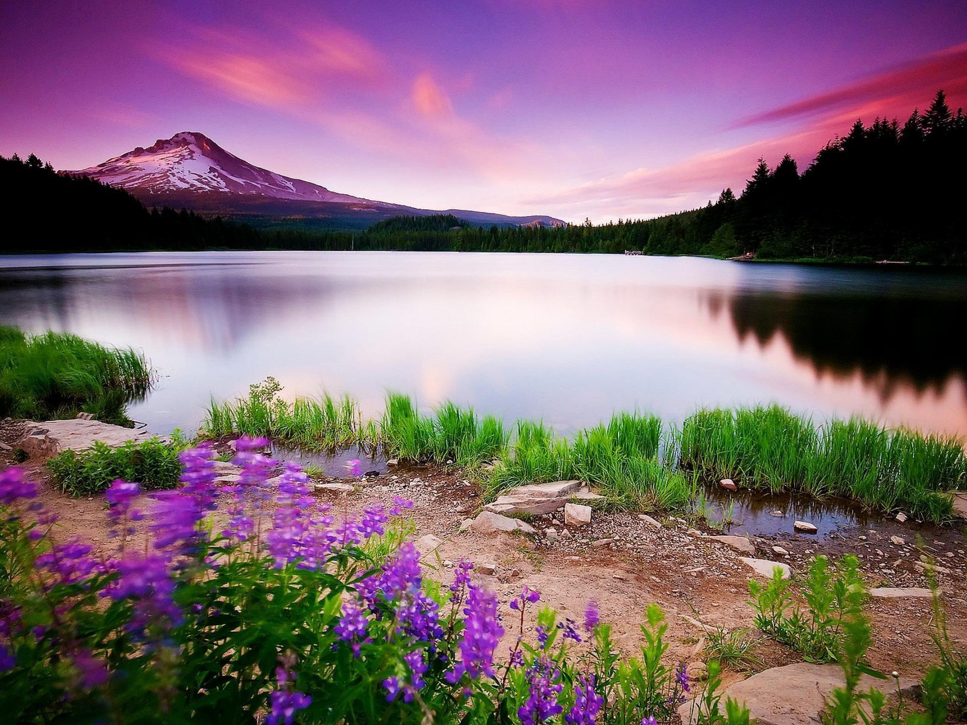 Scenic HD Wallpapers - Top Free Scenic HD Backgrounds - WallpaperAccess