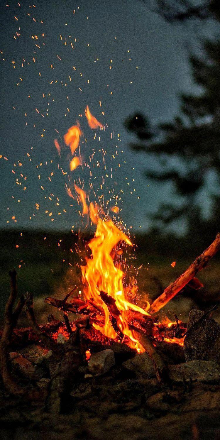 750x1500 Tip small survival kit. Fire