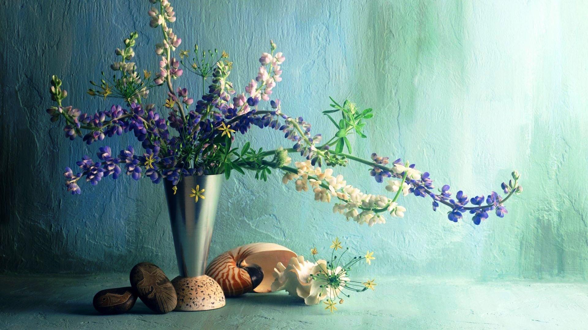 1920x1080 Best Beautiful Image