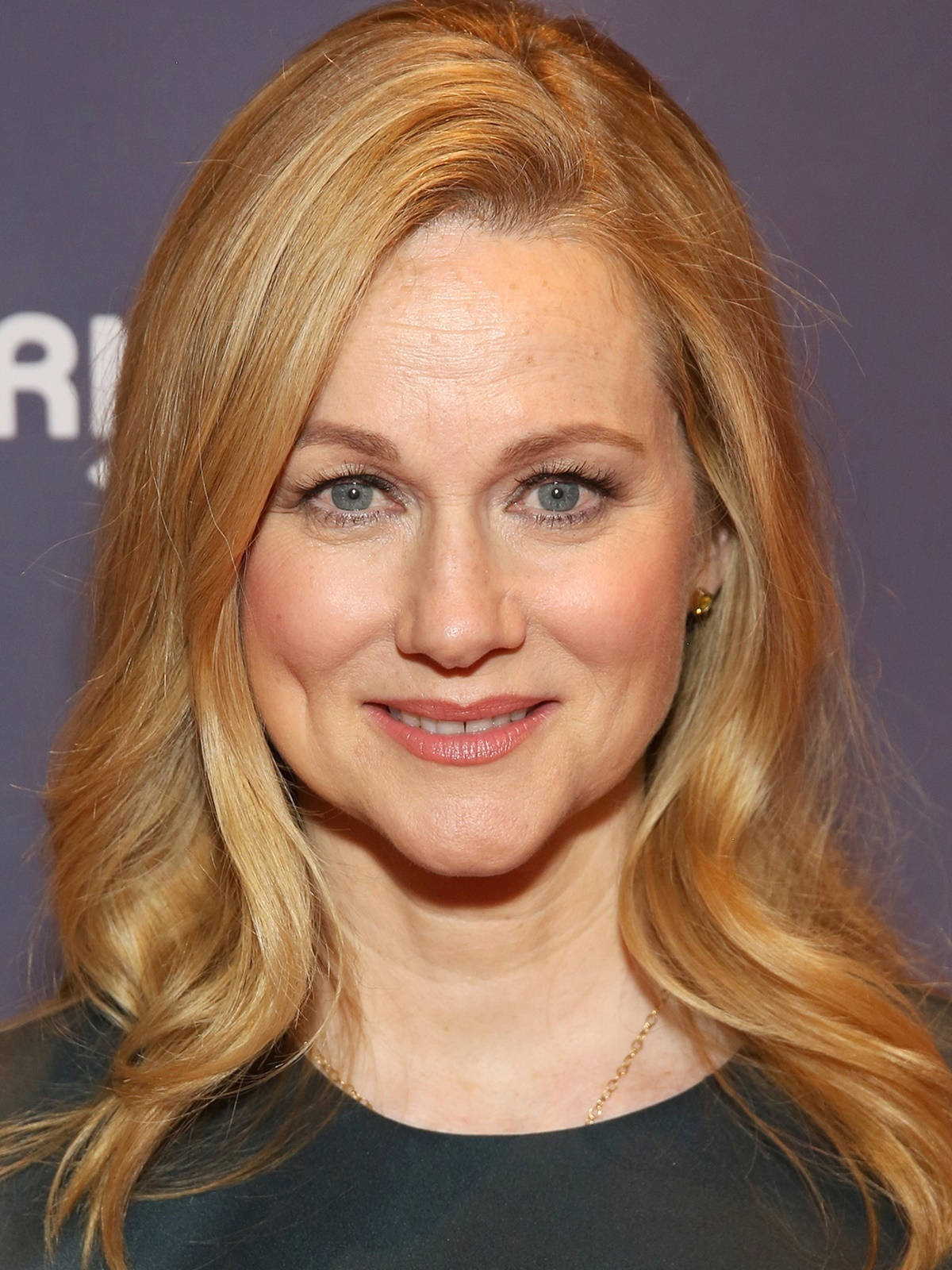 1200x1600 Download Laura Linney Beautiful Jawline