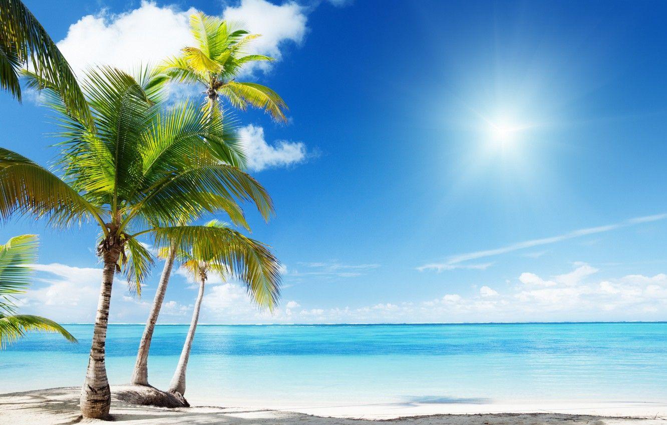 1332x850 Wallpaper beach, nature, palm trees, the ocean, Paradise
