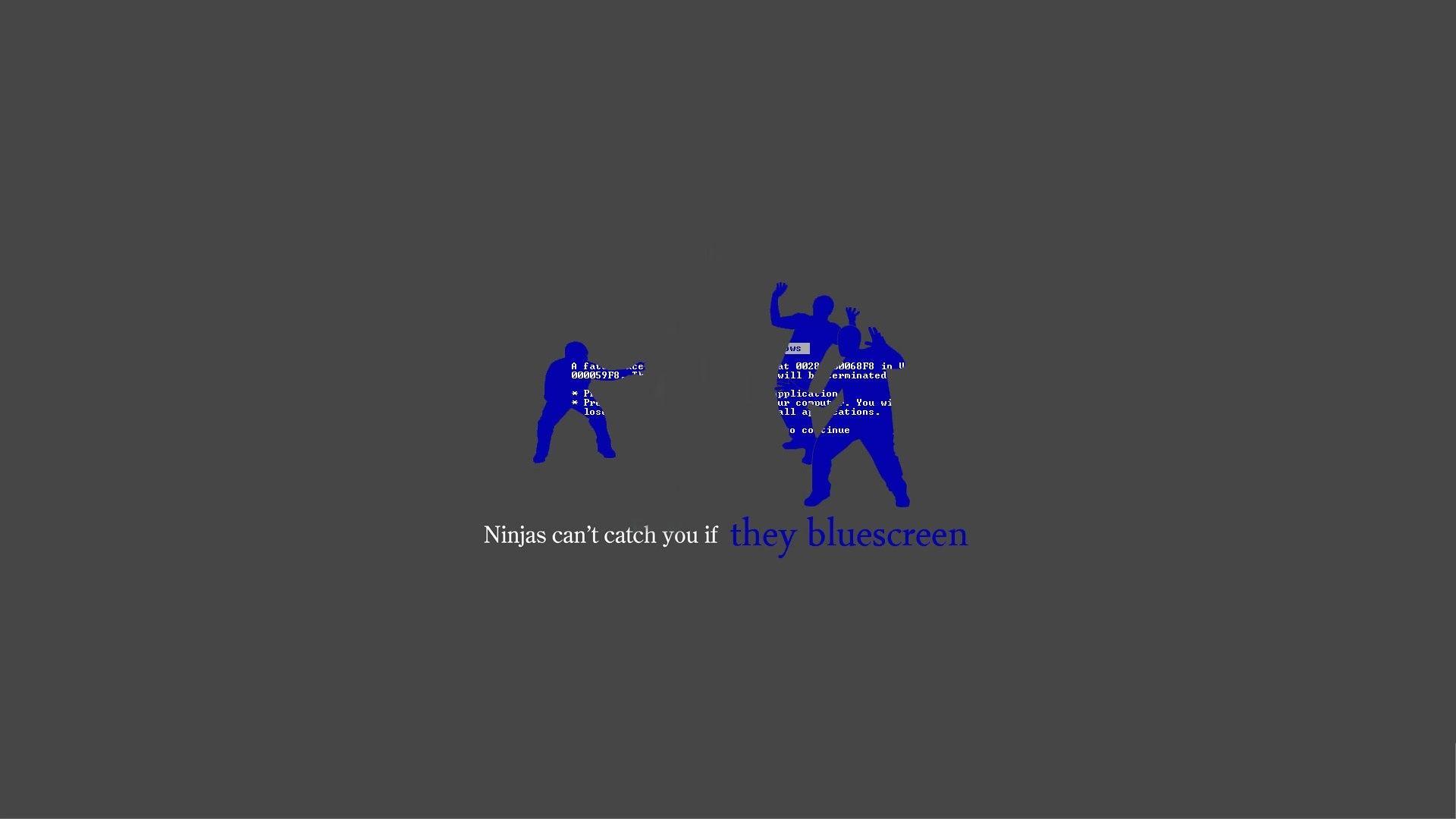 1920x1080 Screen, Blue, Death, Humor Wallpaper, Catch, ninjas, You