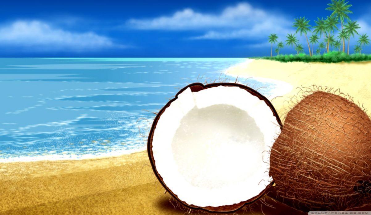 1203x698 Exotic Beach Wallpaper HD Desktop
