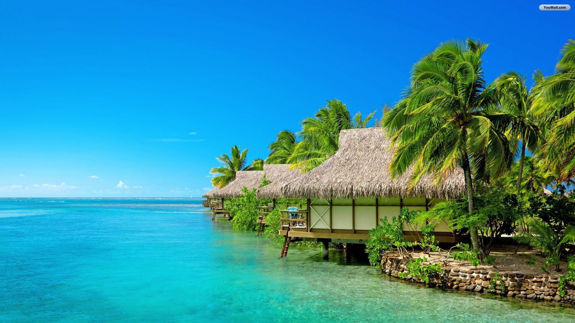 1920x1080 Exotic Wallpaper HD #AFC4T24