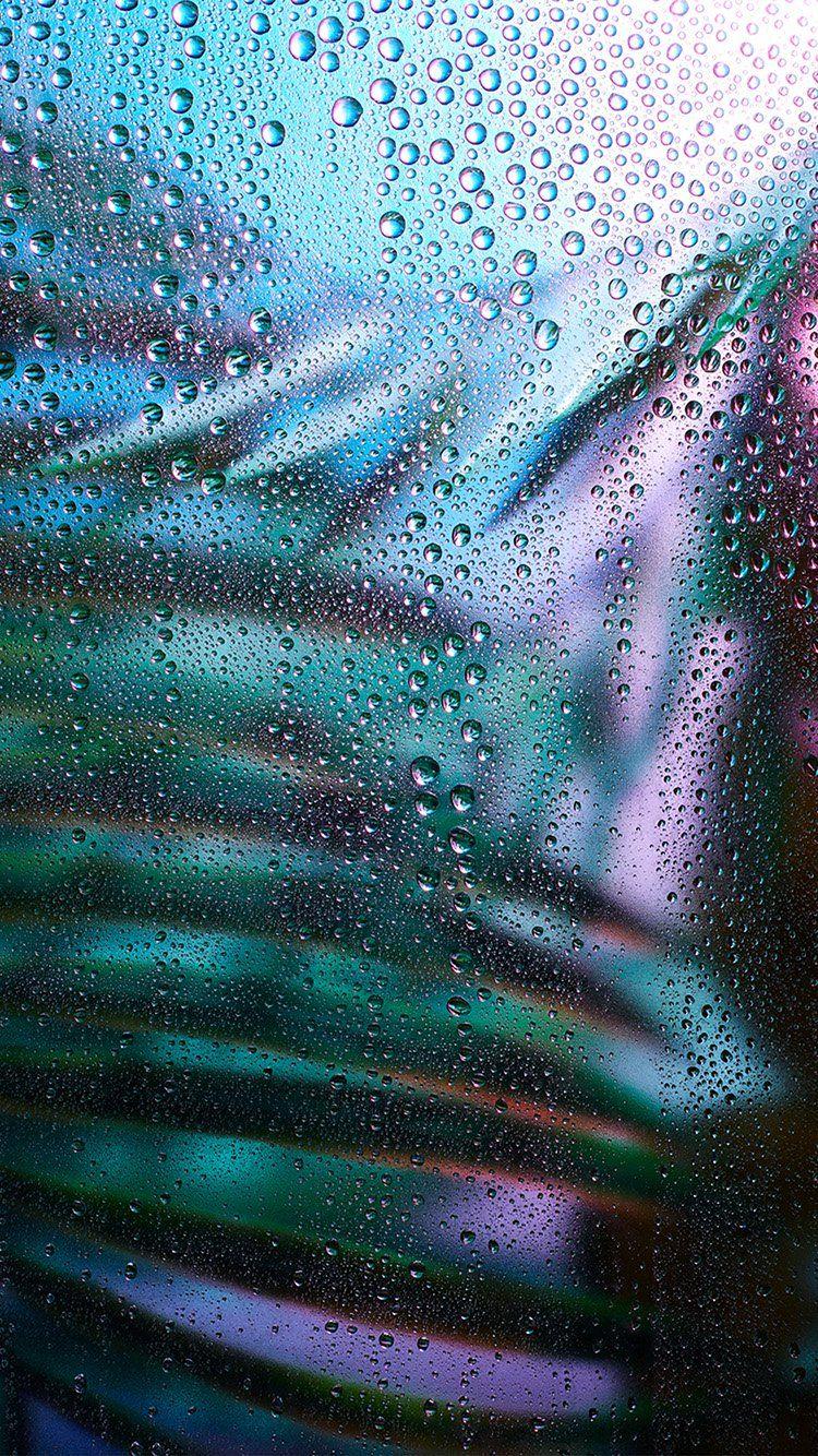 750x1334 iPhone wallpaper. raindrop exotic
