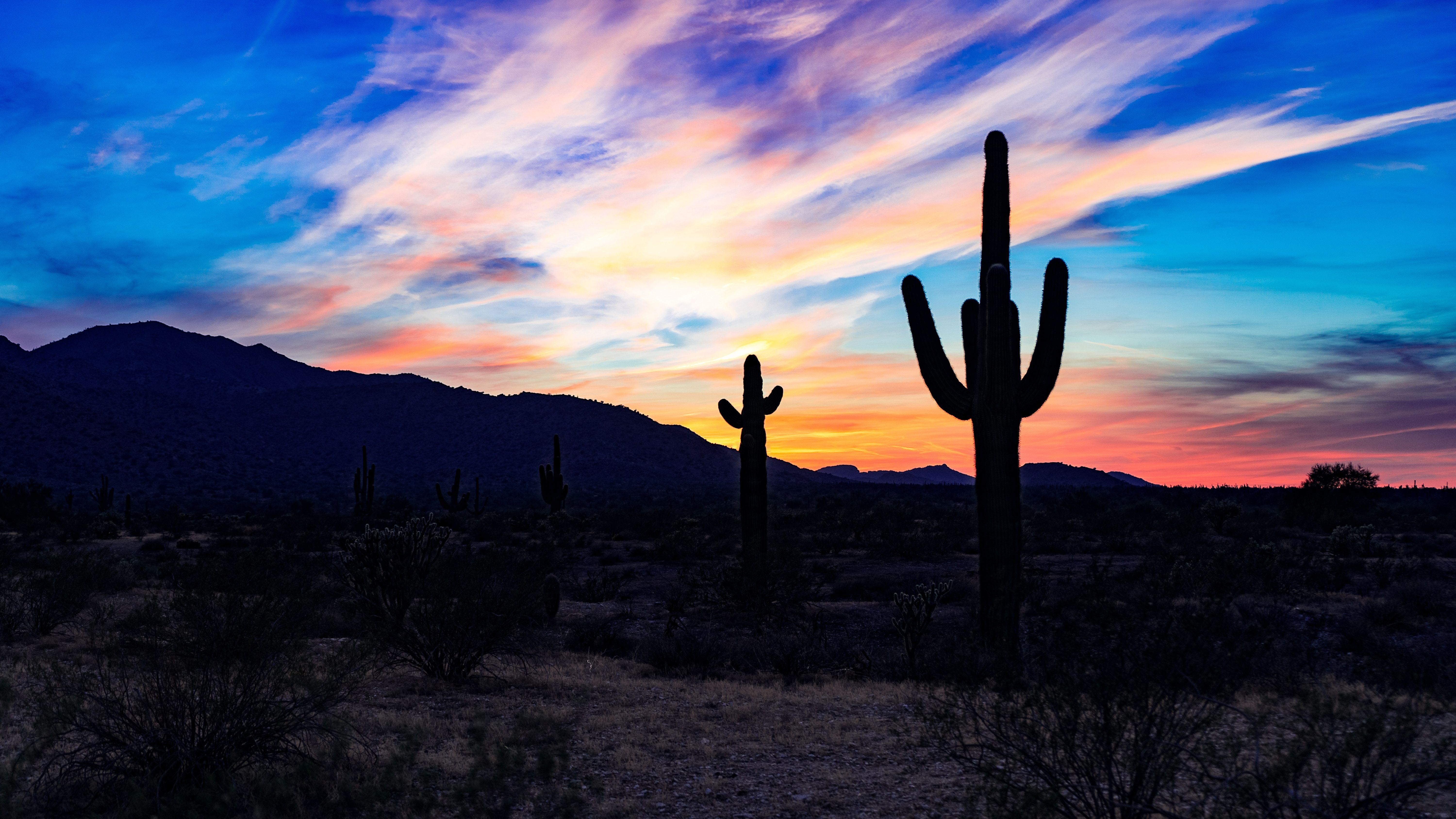 Arizona Desert Sunset Wallpapers - Top Free Arizona Desert Sunset ...