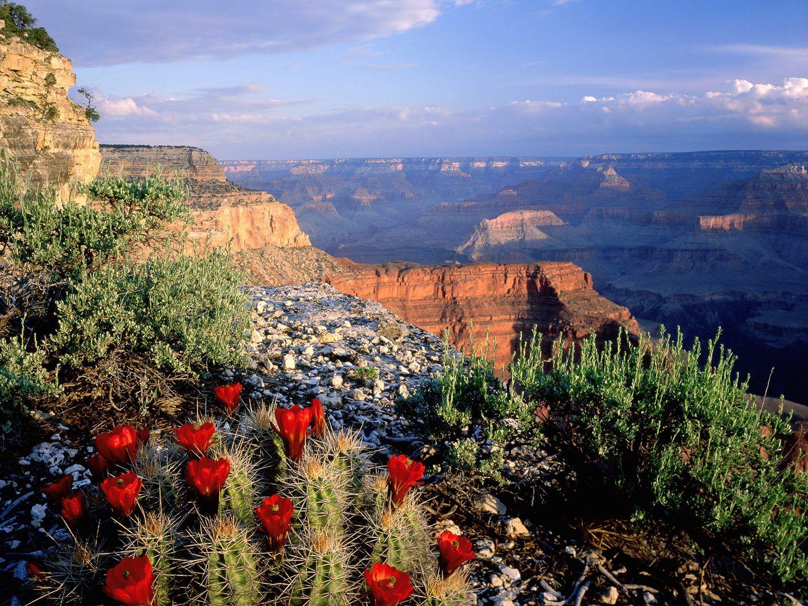 1600x1200 some beautiful desktop background wallpaper of Arizona