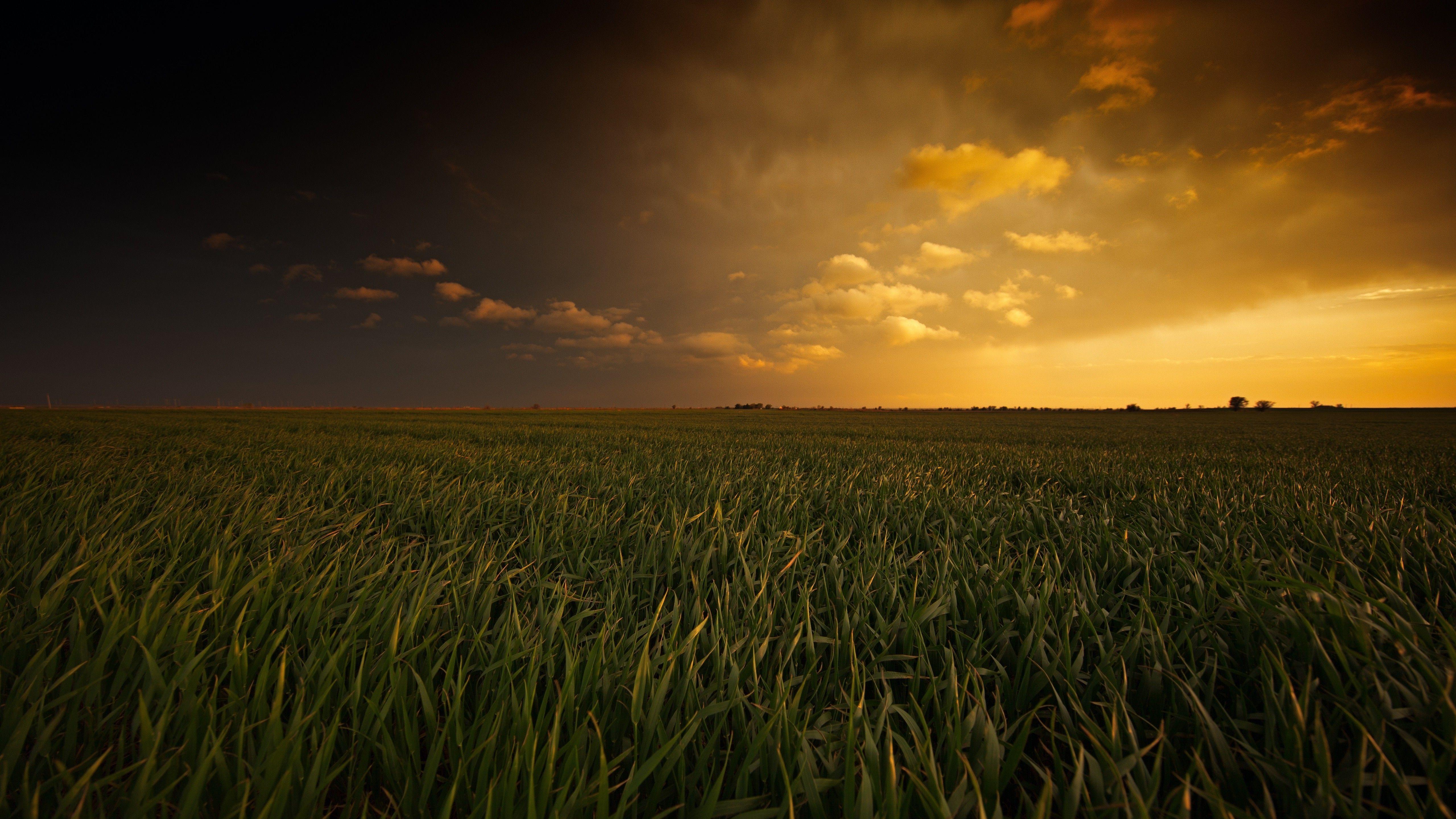 5120x2880 landscape, Field, Oklahoma Wallpaper HD / Desktop